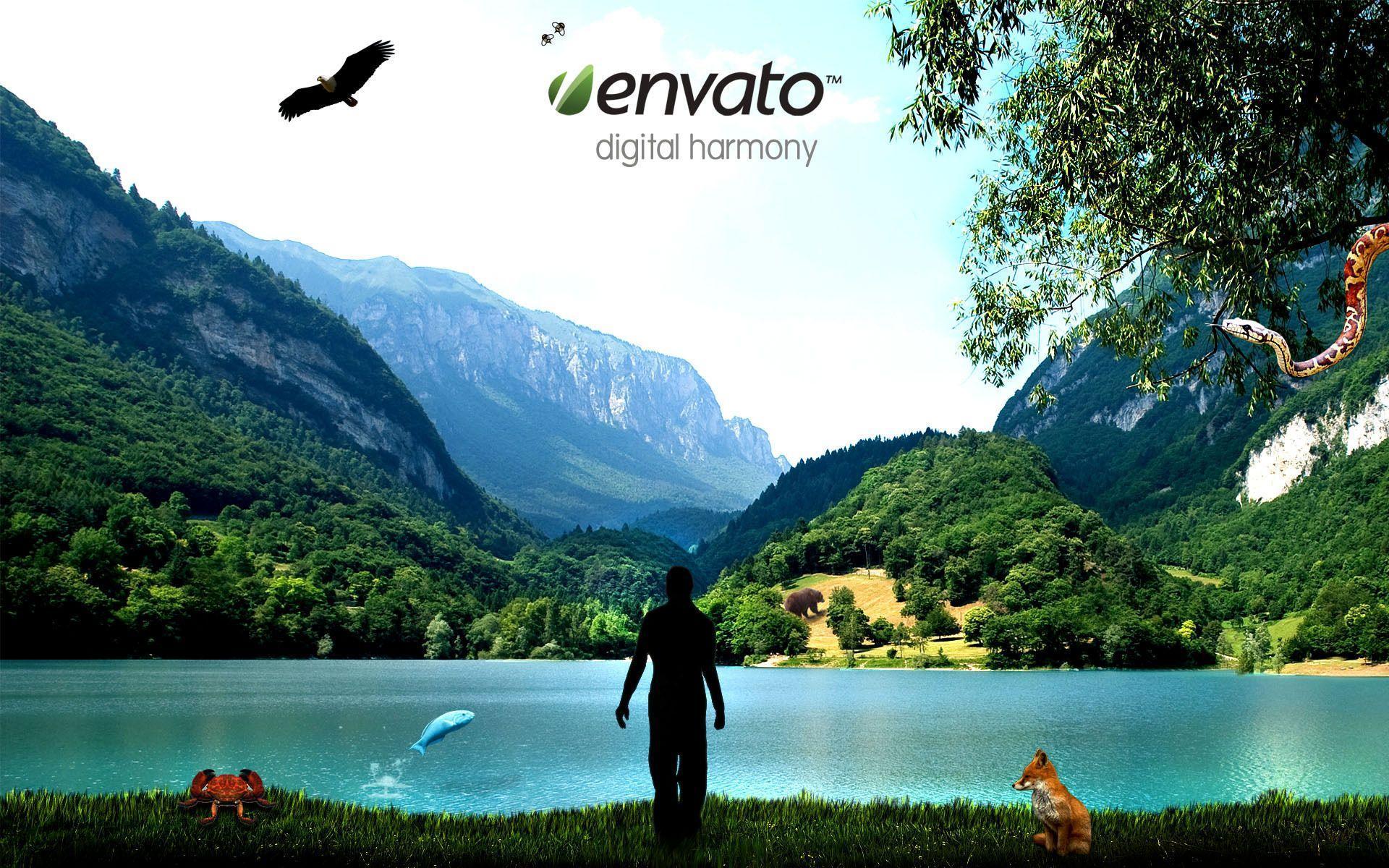 Digital harmony wallpaper. Digital harmony