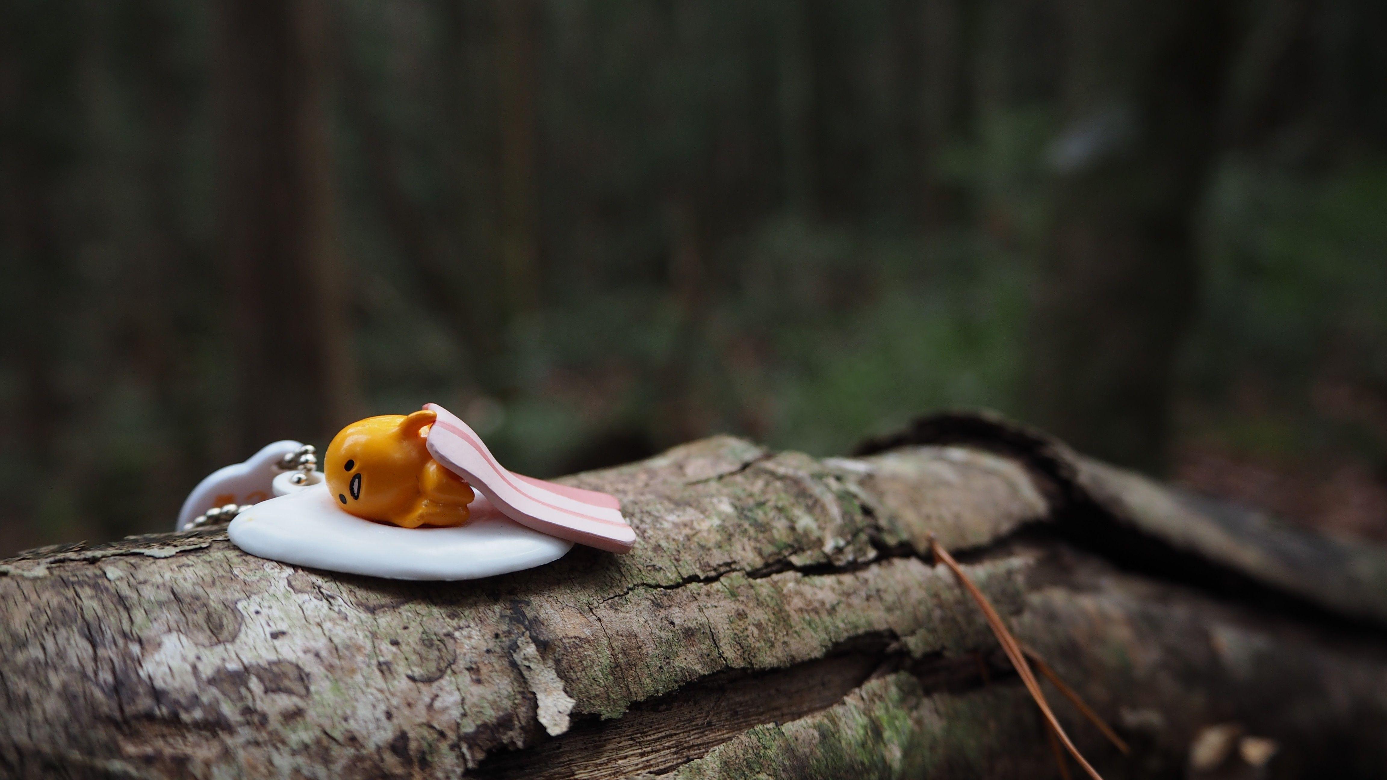 depth of field, #GUDETAMA, #forest. Wallpaper No. 315294