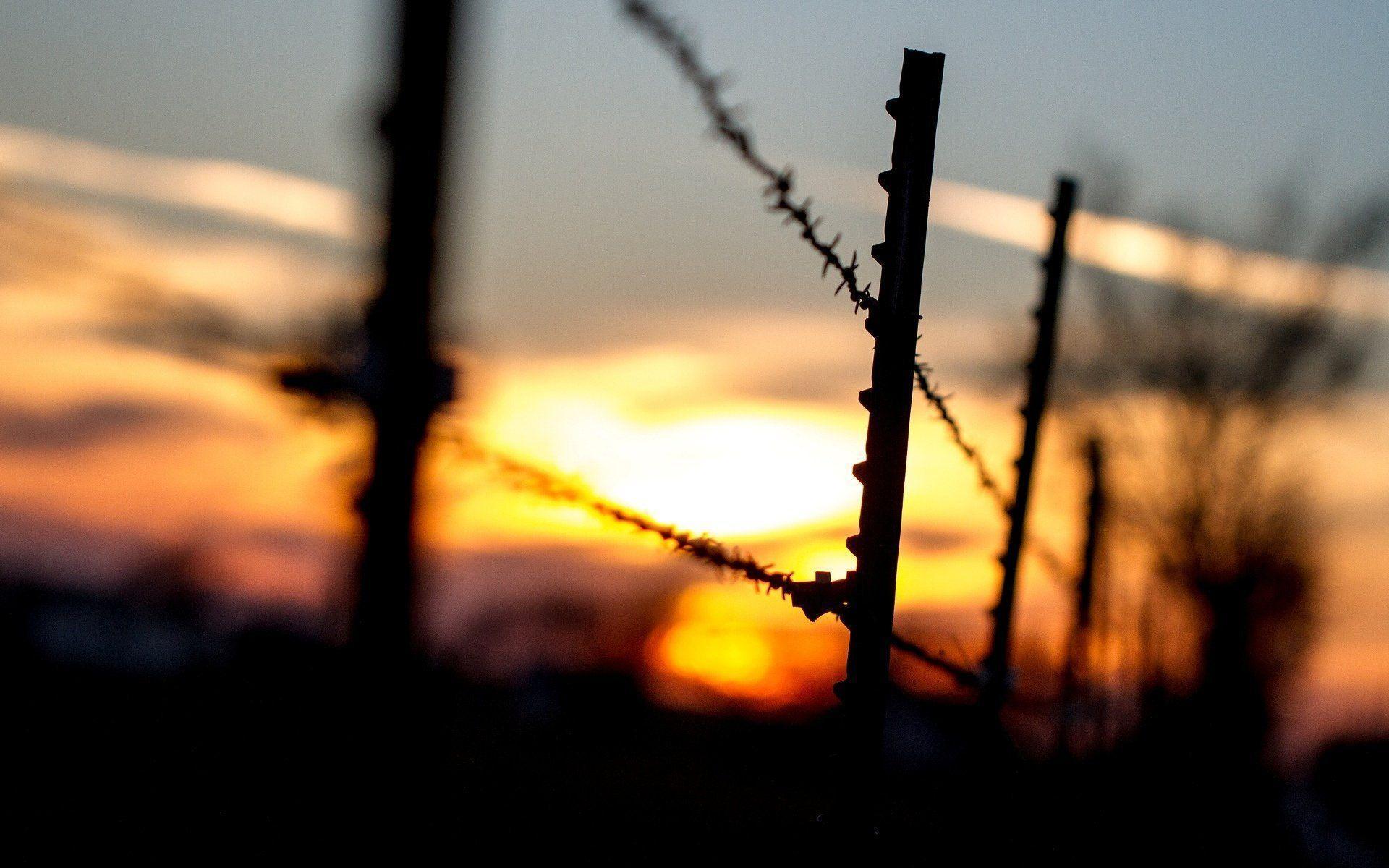 close up black fence fencing silhouette rope sunset background