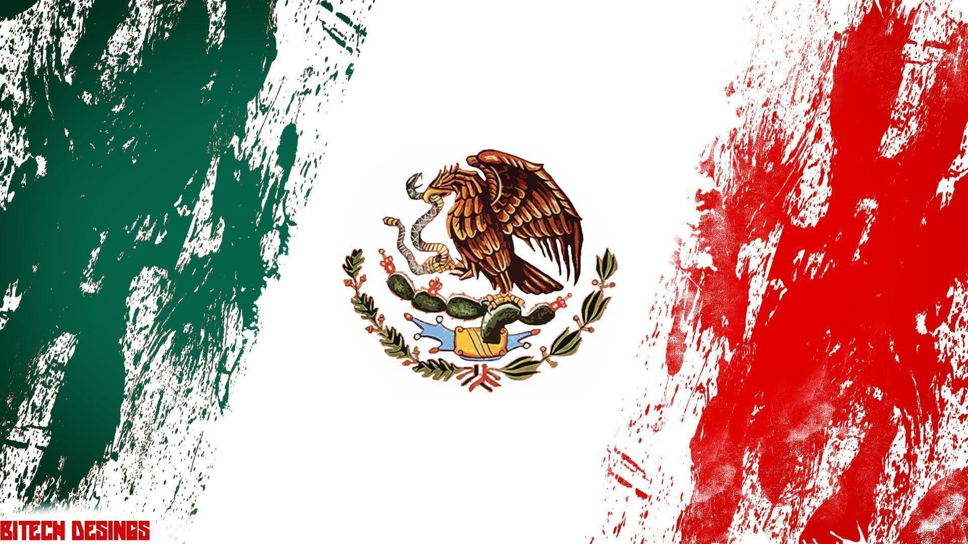 Speed Art: Mexican Flag Manipulation