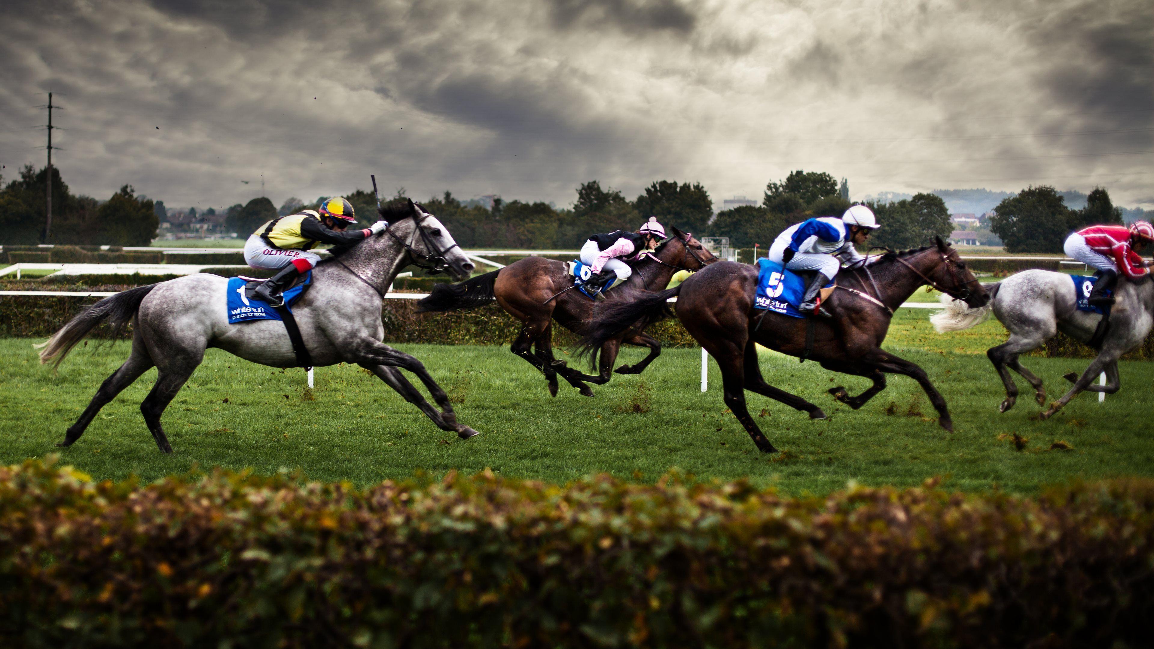 Horse Racing HD Wallpaper