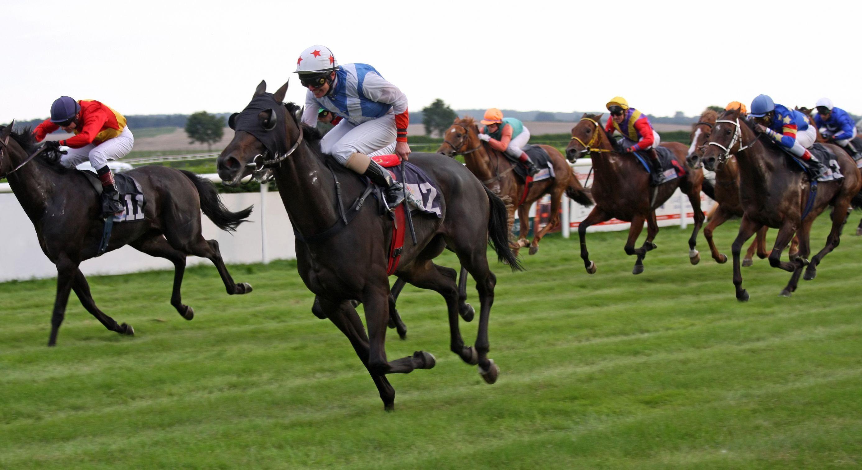 HORSE RACING race equestrian sport jockey horses wallpaper