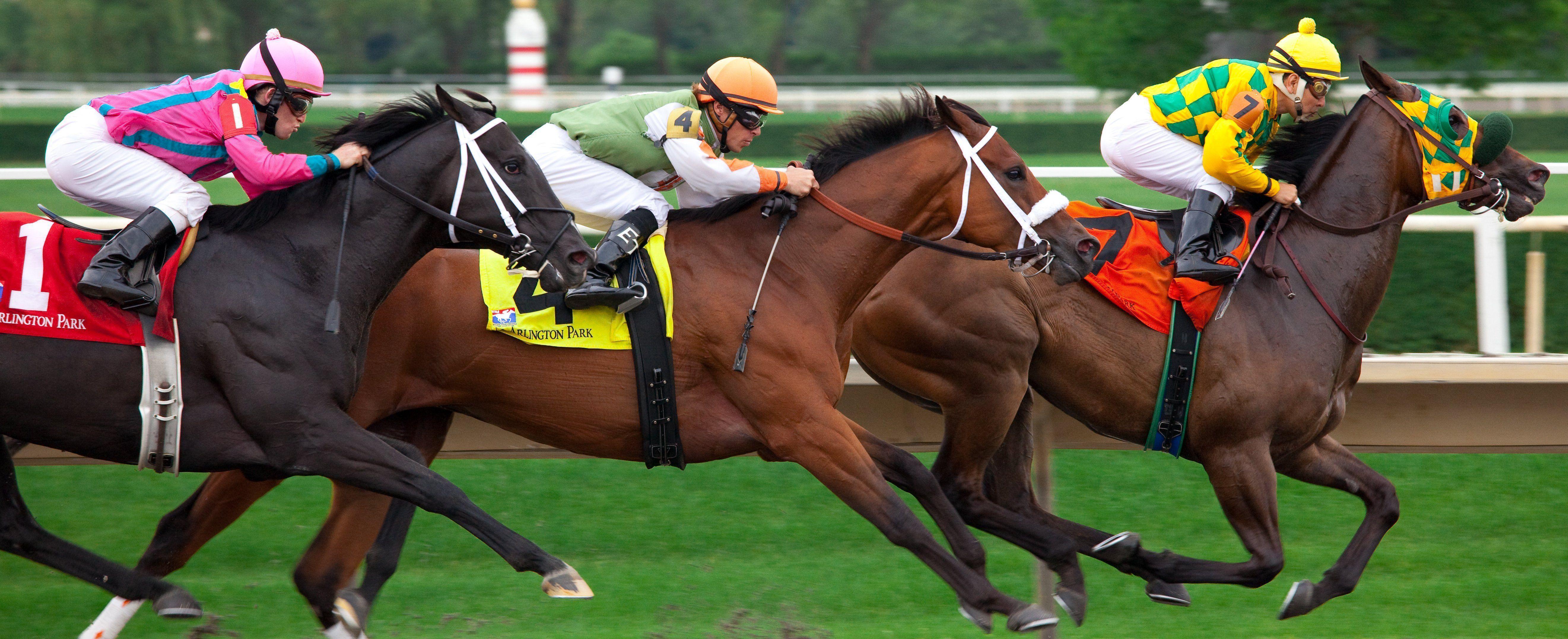 Race Horses Wallpapers Wallpaper Cave