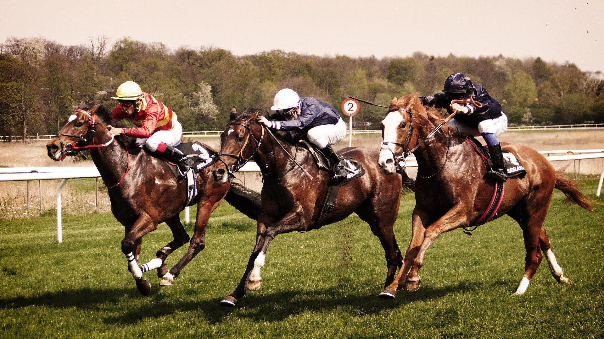 Horse Race Wallpaper