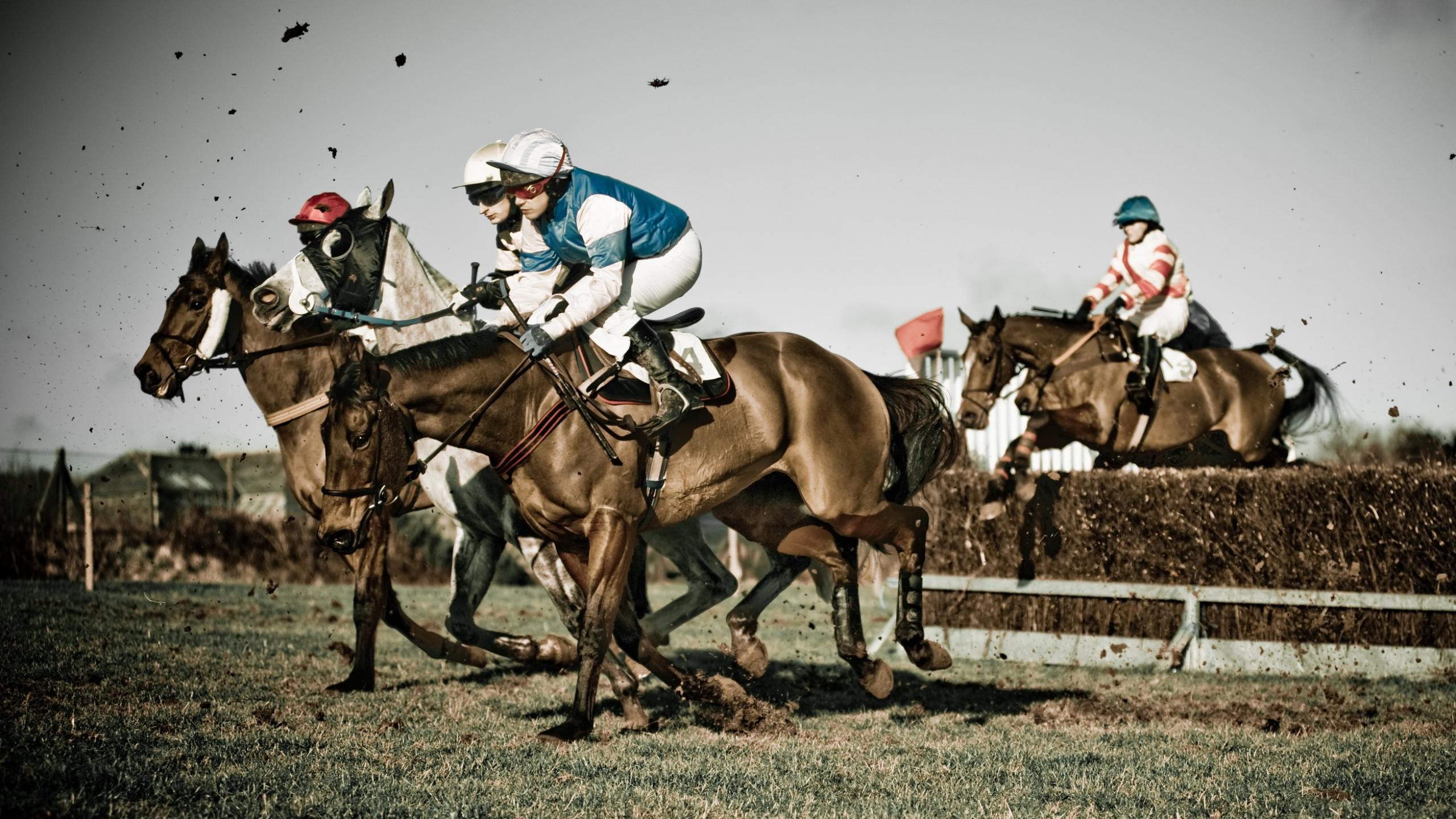 Horse Racing Wallpaper
