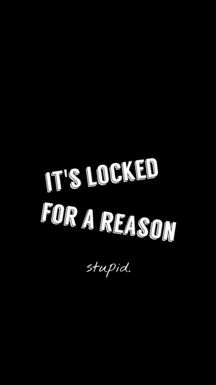 It's Locked For A Reason Stupid iPhone 6 Wallpaper. iPhone