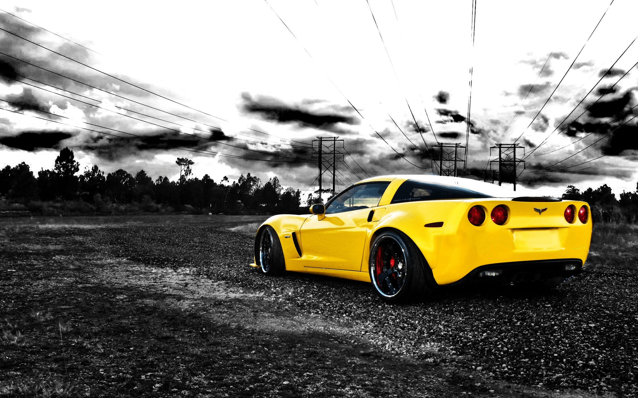 selective wallpaper