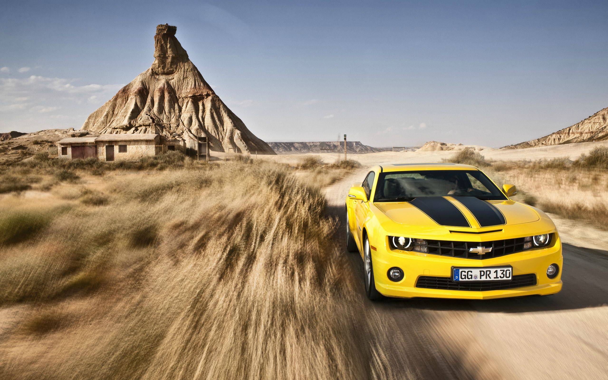 Widescreen Ford Mustang Desert Road American Car With Cars Wallpaper