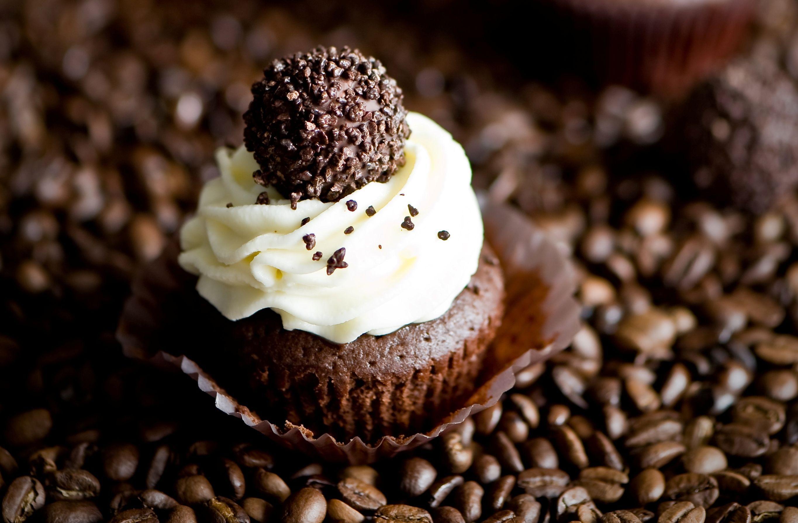 Tasty Chocolate Cupcake With Vanilla Buttercream Frosting