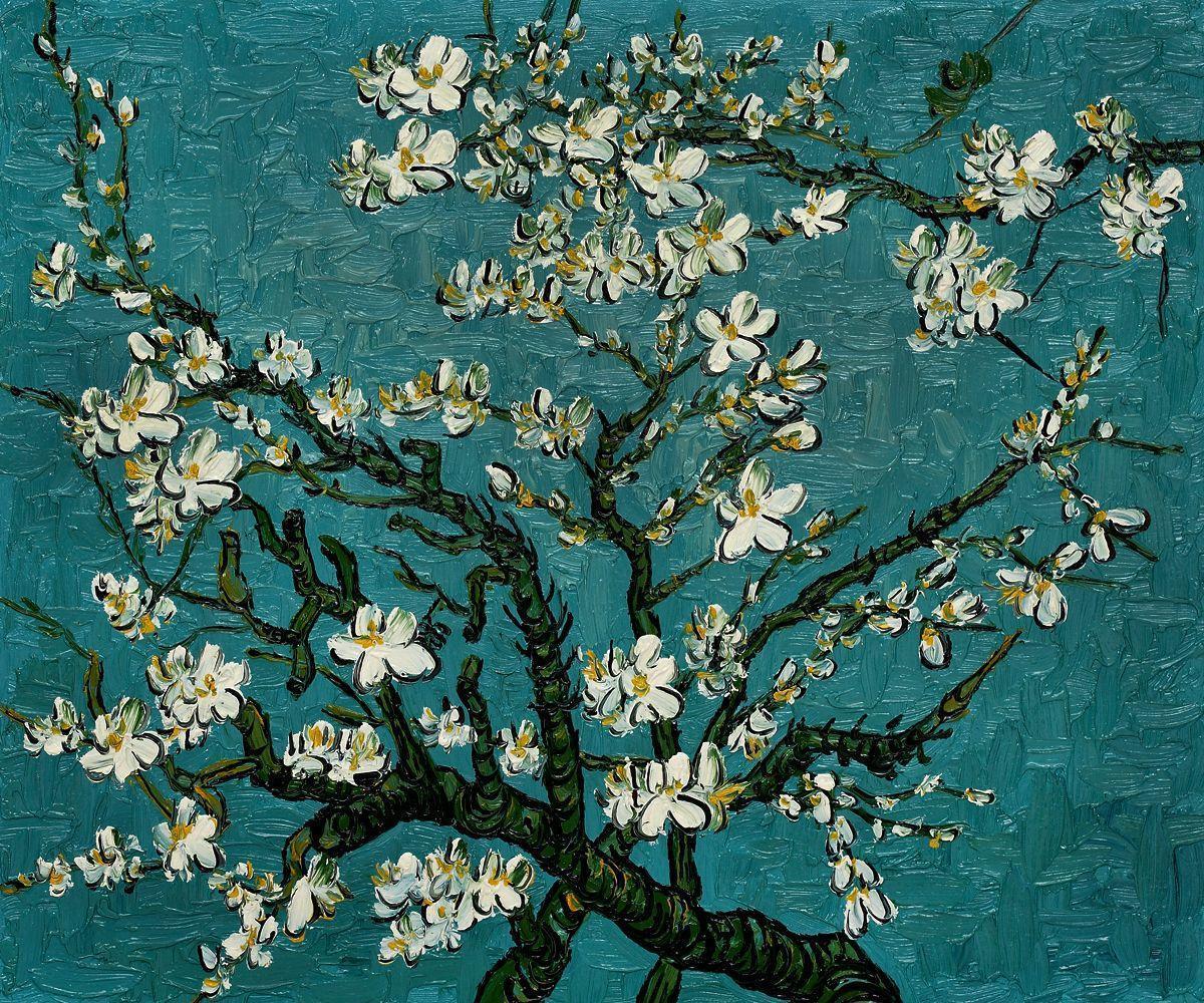 Van Gogh Blossom Wallpapers Wallpaper Cave