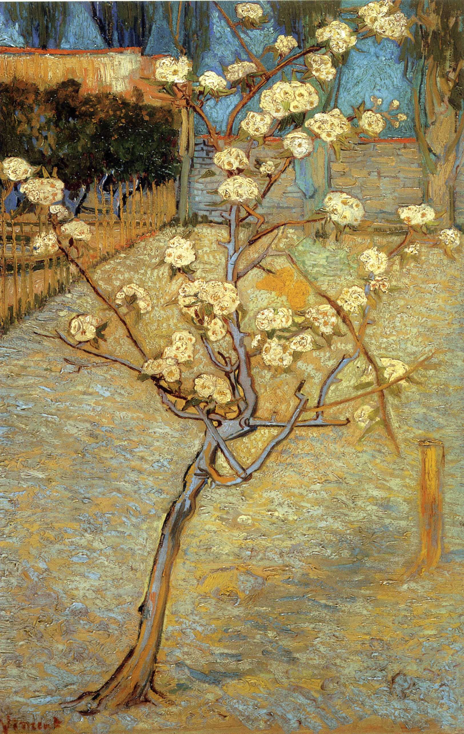 Pear Tree in Blossom, 1888