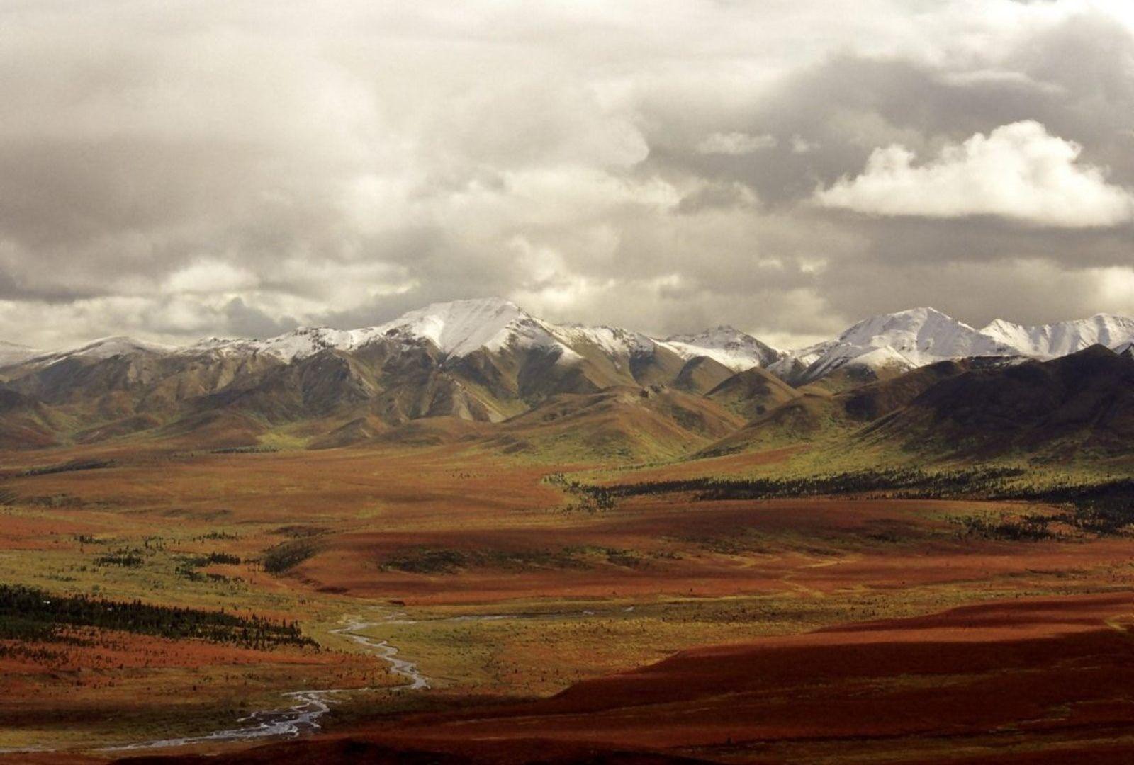 Tundra Tag wallpaper: Mountains Nature Denali Landscapes Tundra