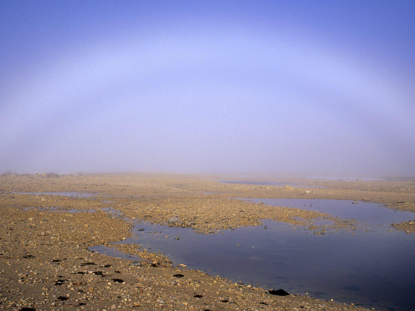 Fog over Tundra wallpaper. Fog over Tundra