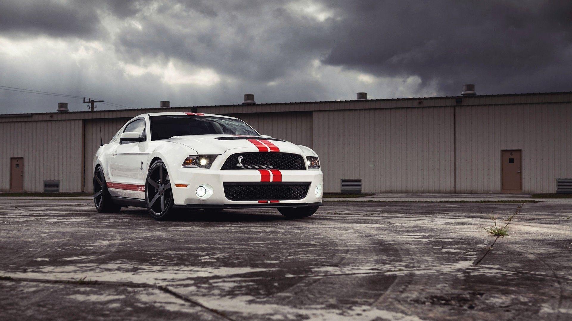 Ford mustang shelby wallpaper