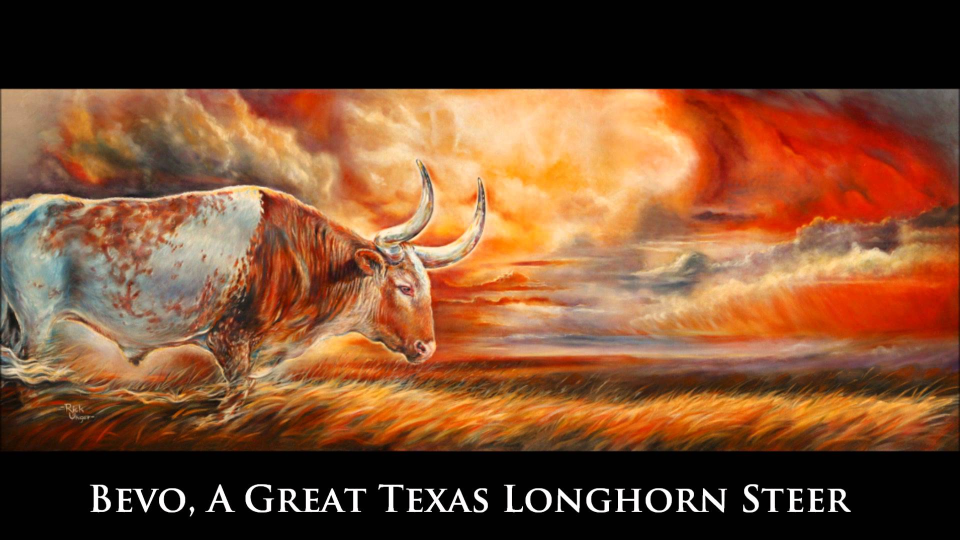 Bevo, Bevo, A Great Texas Longhorn Steer