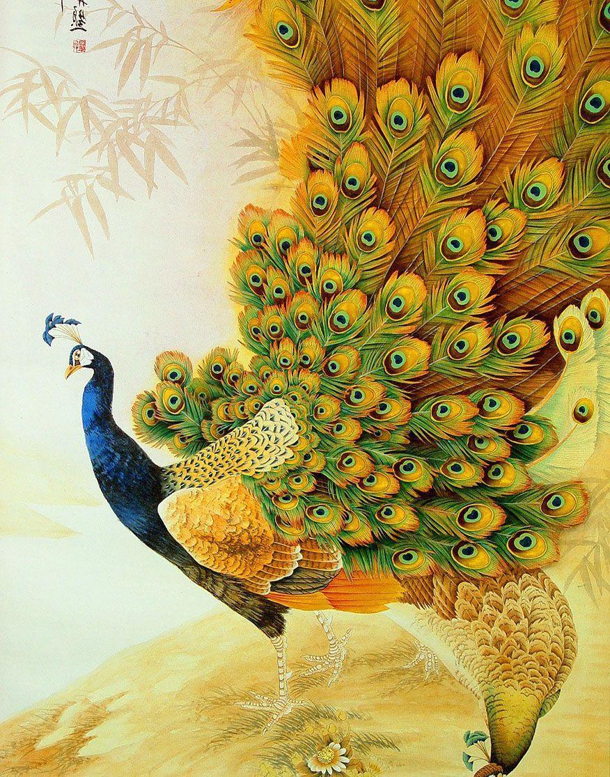 Peacocks Wallpapers - Wallpaper Cave