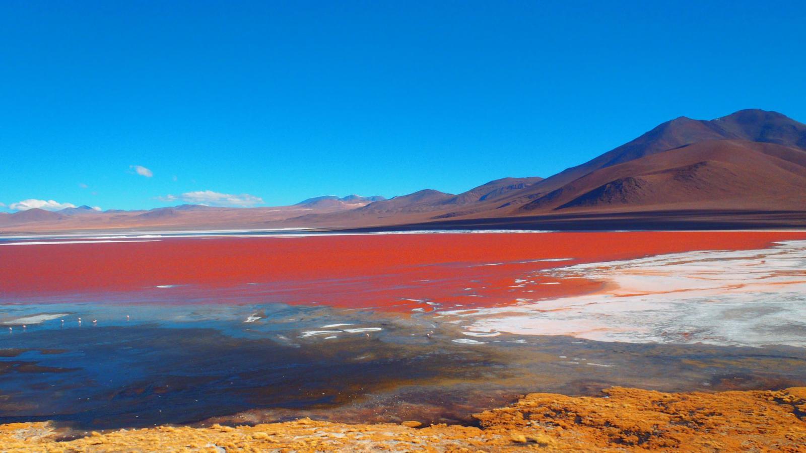 Красное озеро Боливия