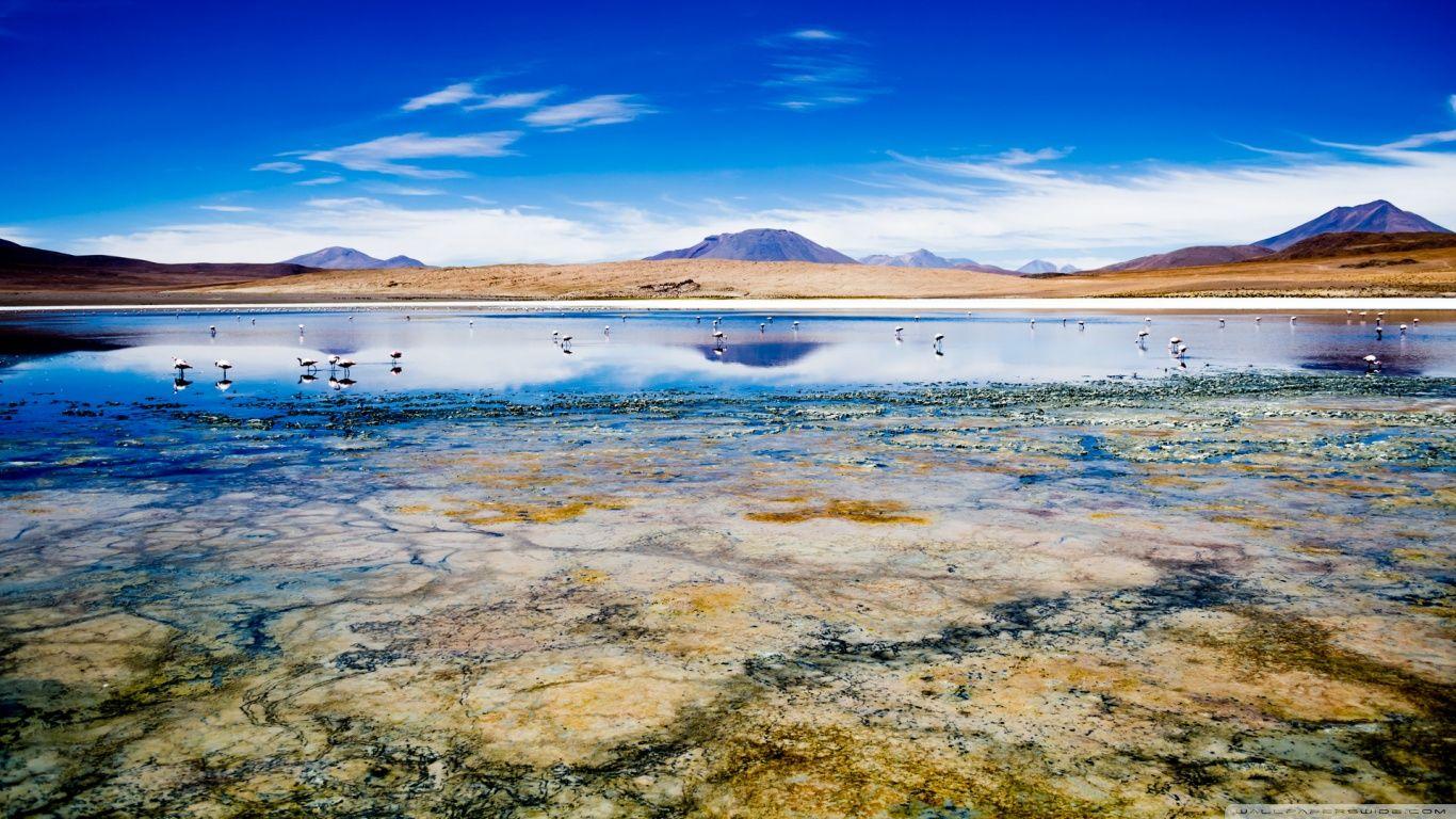 Cañapa Lake, Bolivia HD HD desktop wallpaper, Widescreen, High