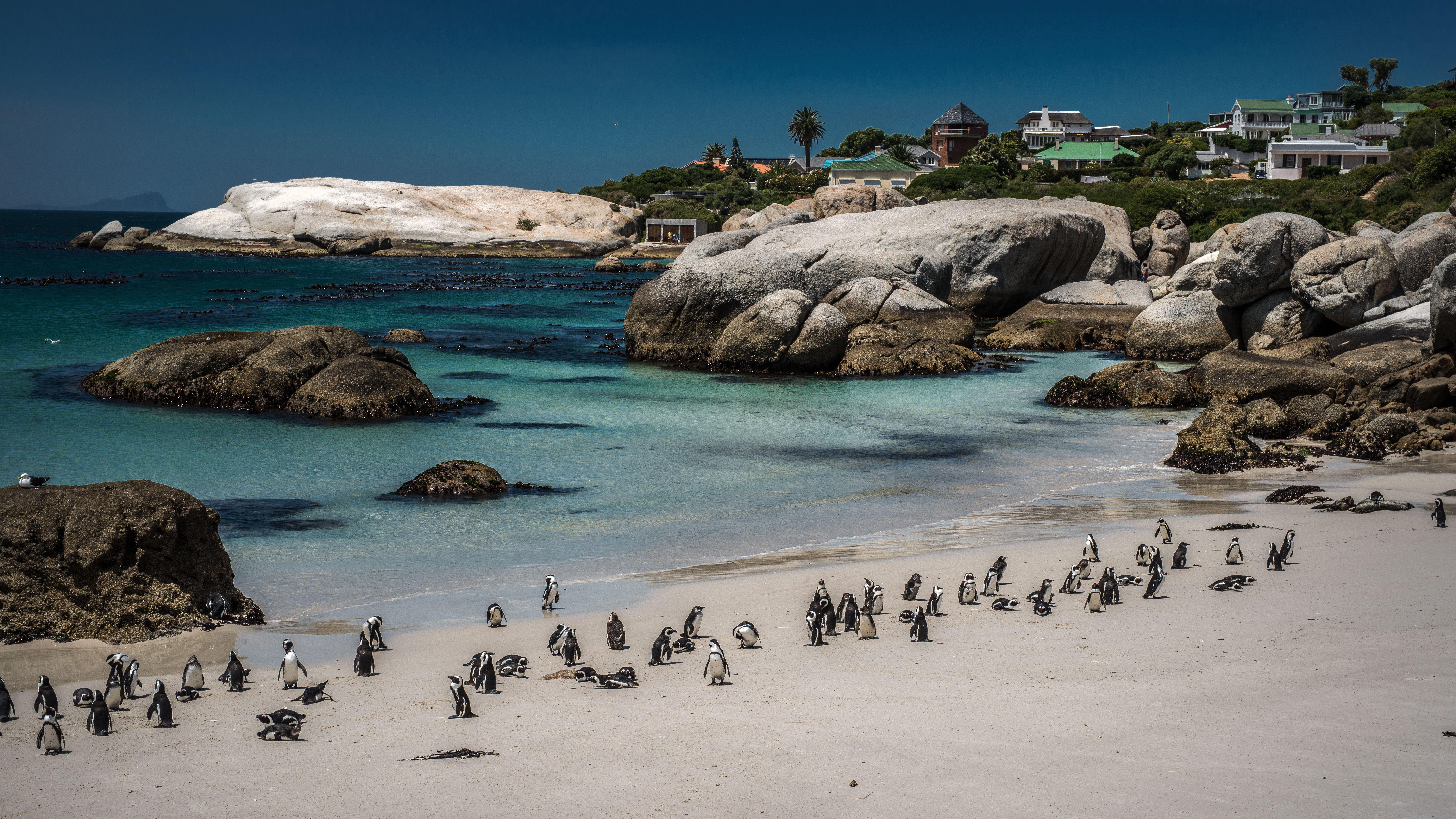 Cape Town Photos Download The BEST Free Cape Town Stock Photos  HD Images