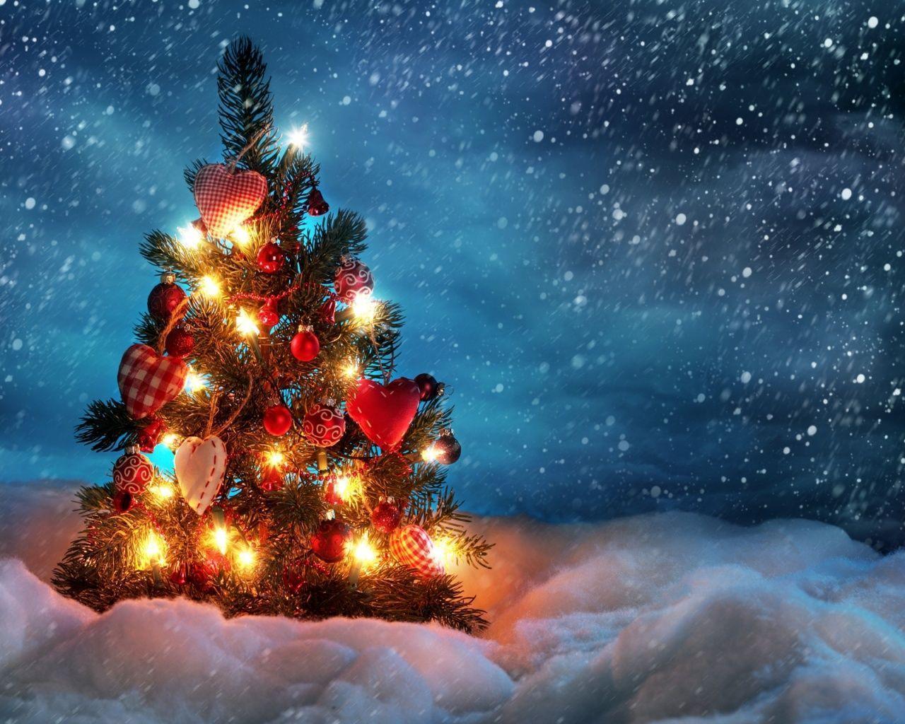 Christmas tree outside desktop PC and Mac wallpaper