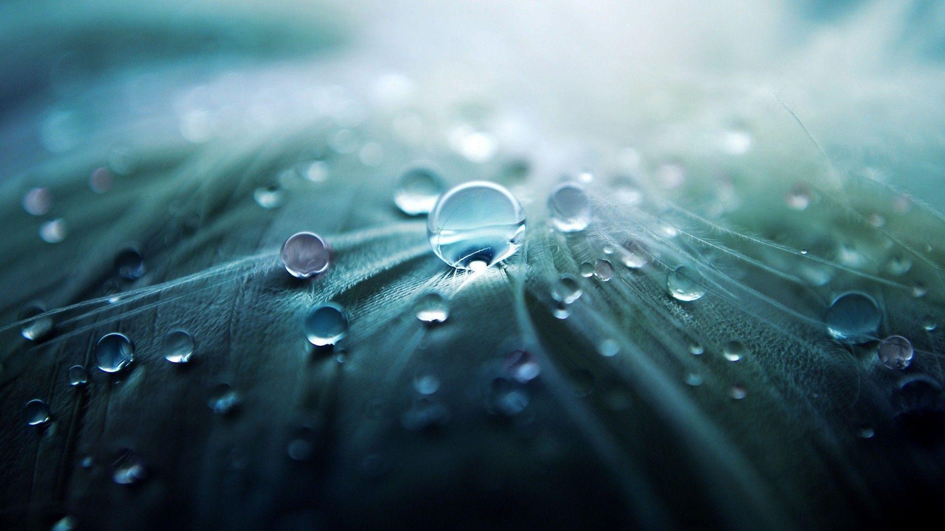 Wet Wallpapers Wallpaper Cave