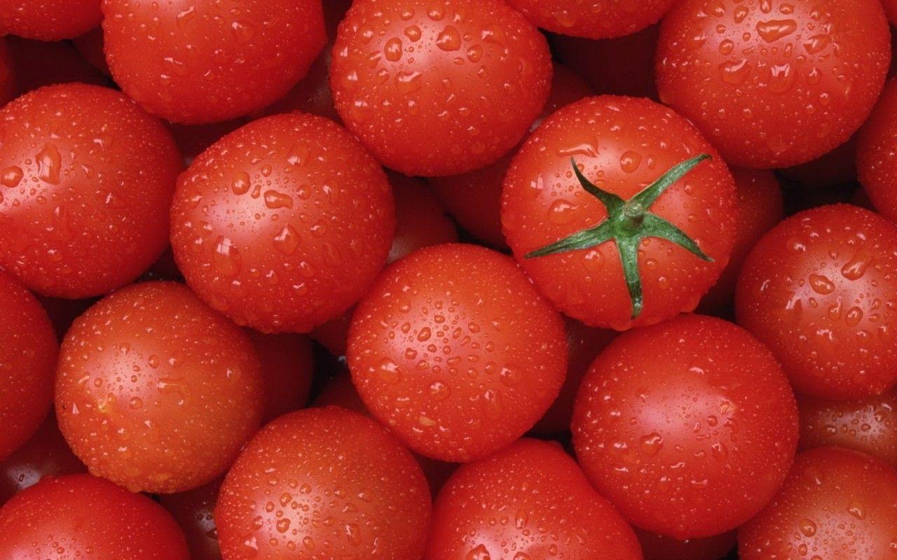 Wet Tomatoes Widescreen Wallpaper. Wide Wallpaper.NET