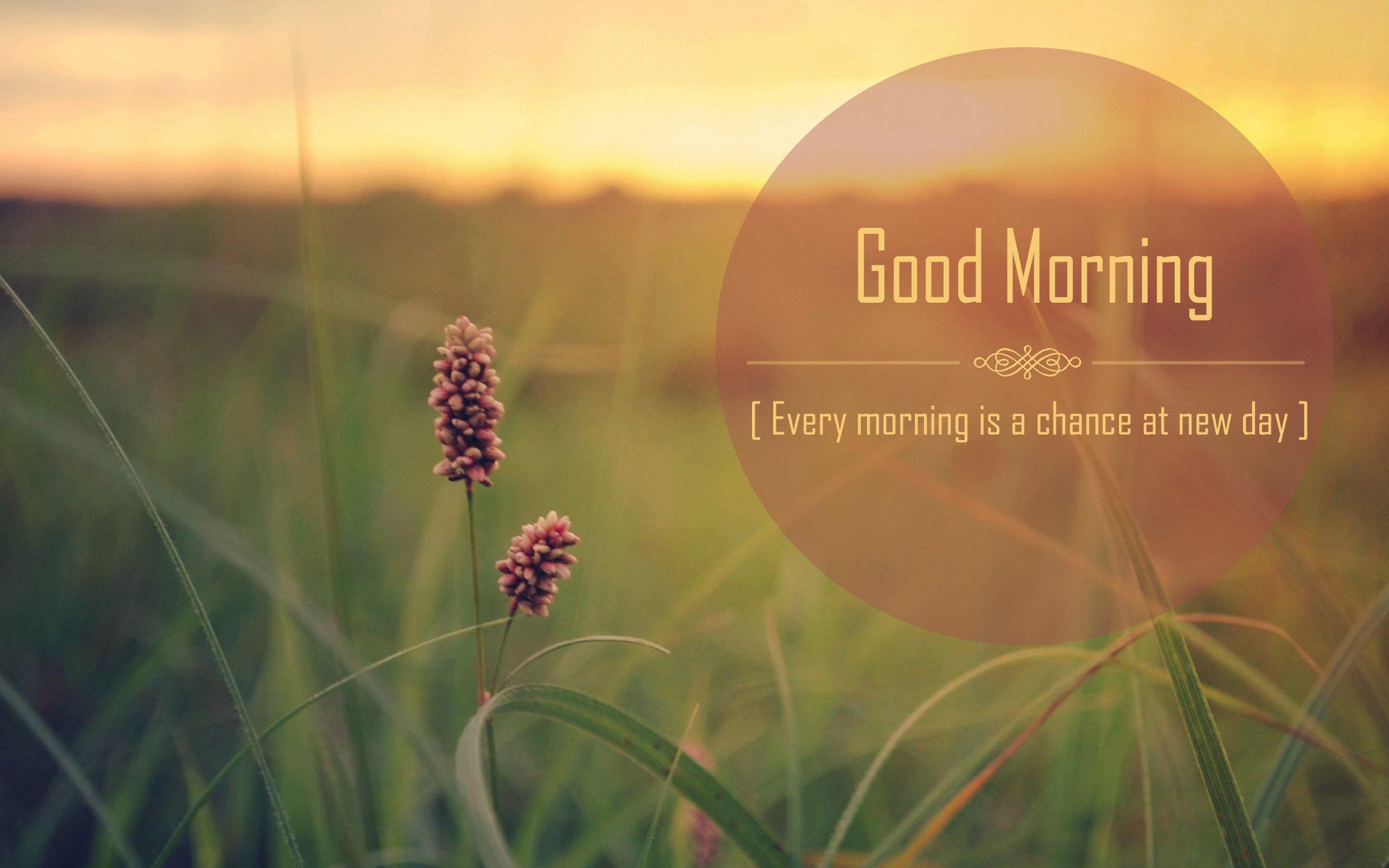 New Day Positive Good Morning Quotes HD Collections Free Download