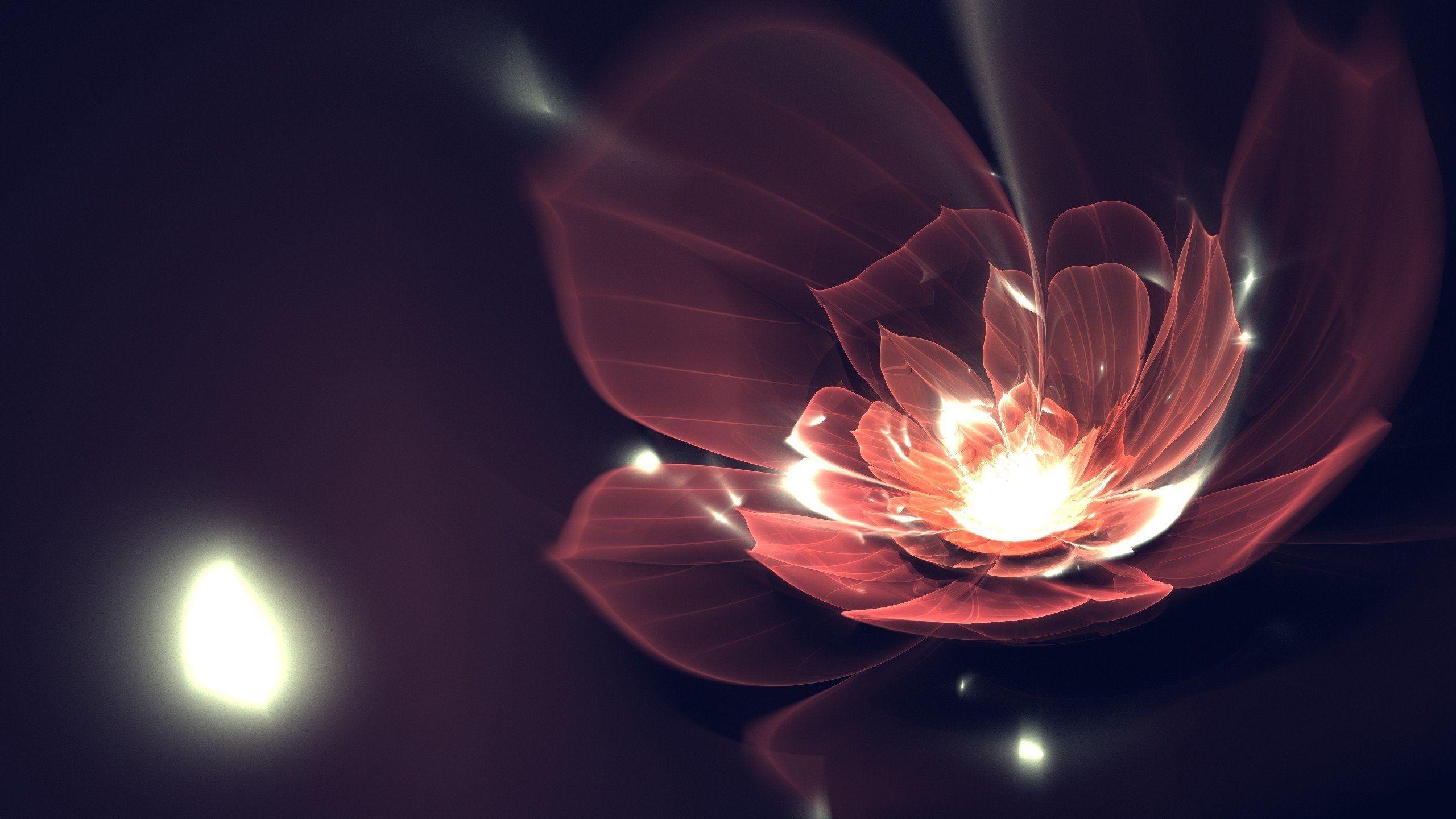 Abstract dark flowers particles wallpaperx1440