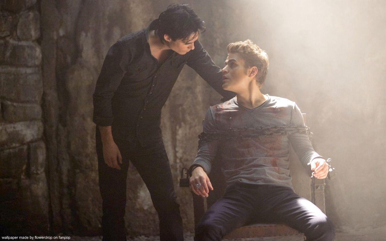 Damon and Stefan Salvatore Wallpaper