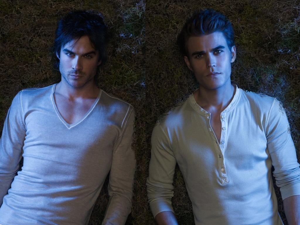 Damon and Stefan Salvatore Wallpaper