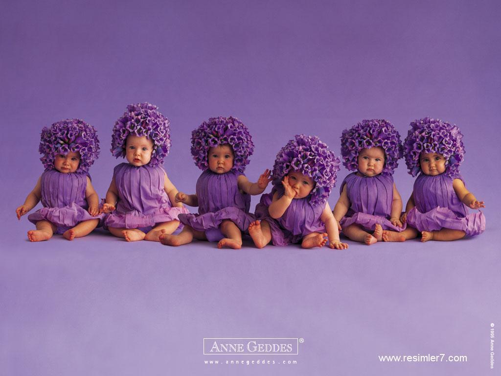 Purple Flower Babies for Sylvie Babies Wallpaper