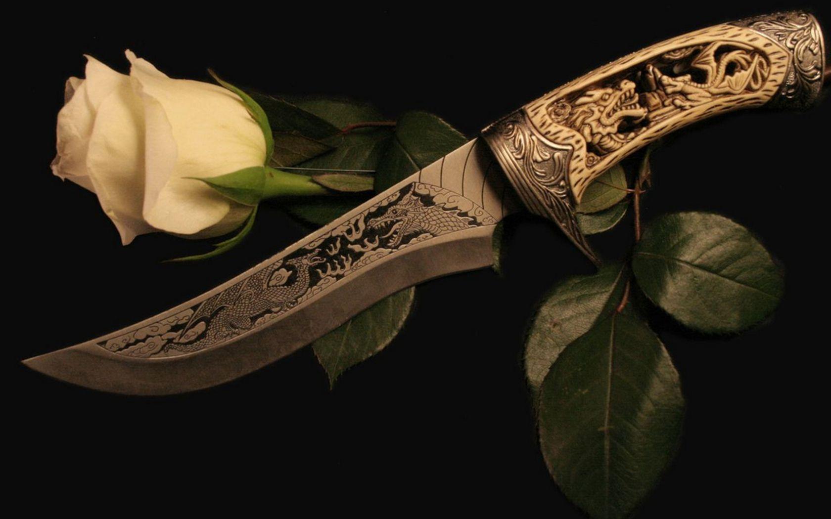 White rose and a dagger wallpaper and image