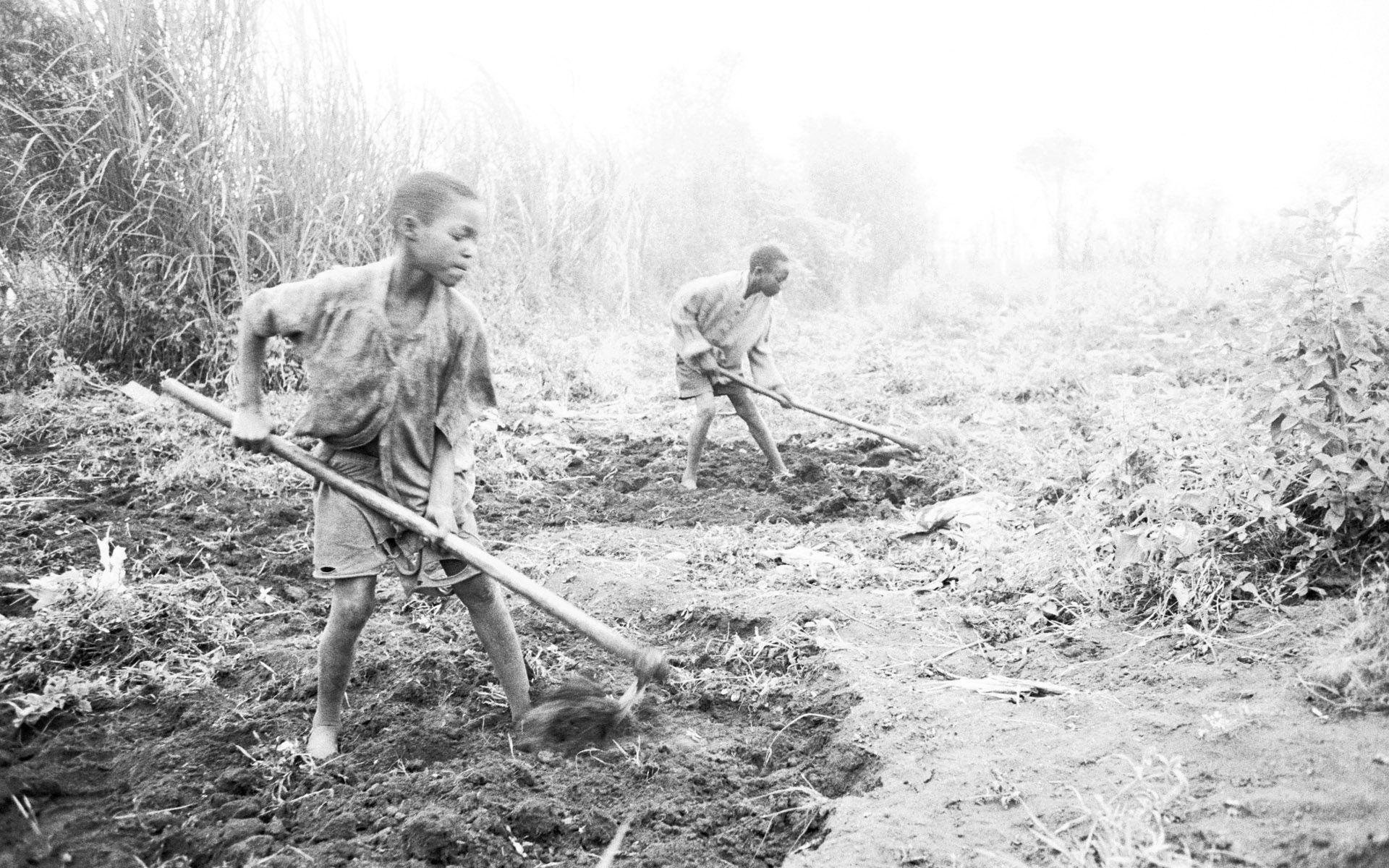 The second series of childhood poverty, war 26776