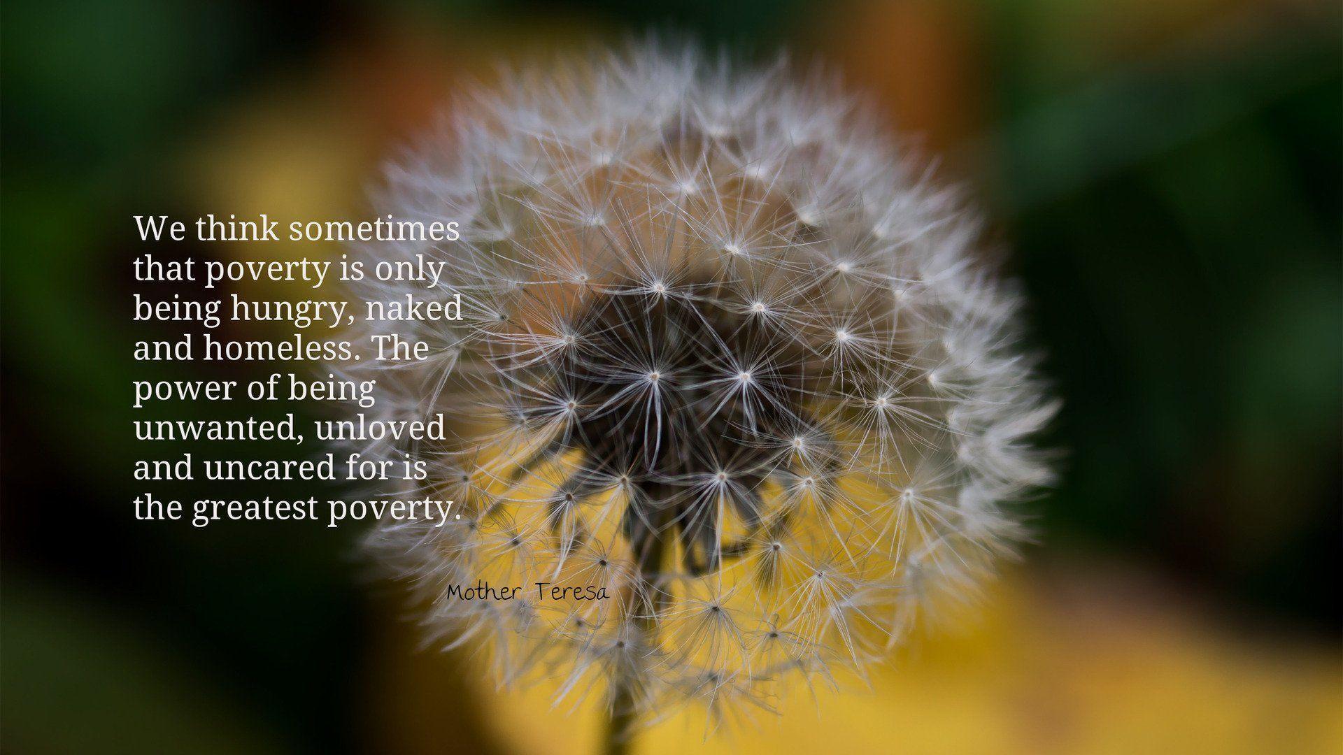 We Think Sometimes That Poverty. Wallpaper 454097