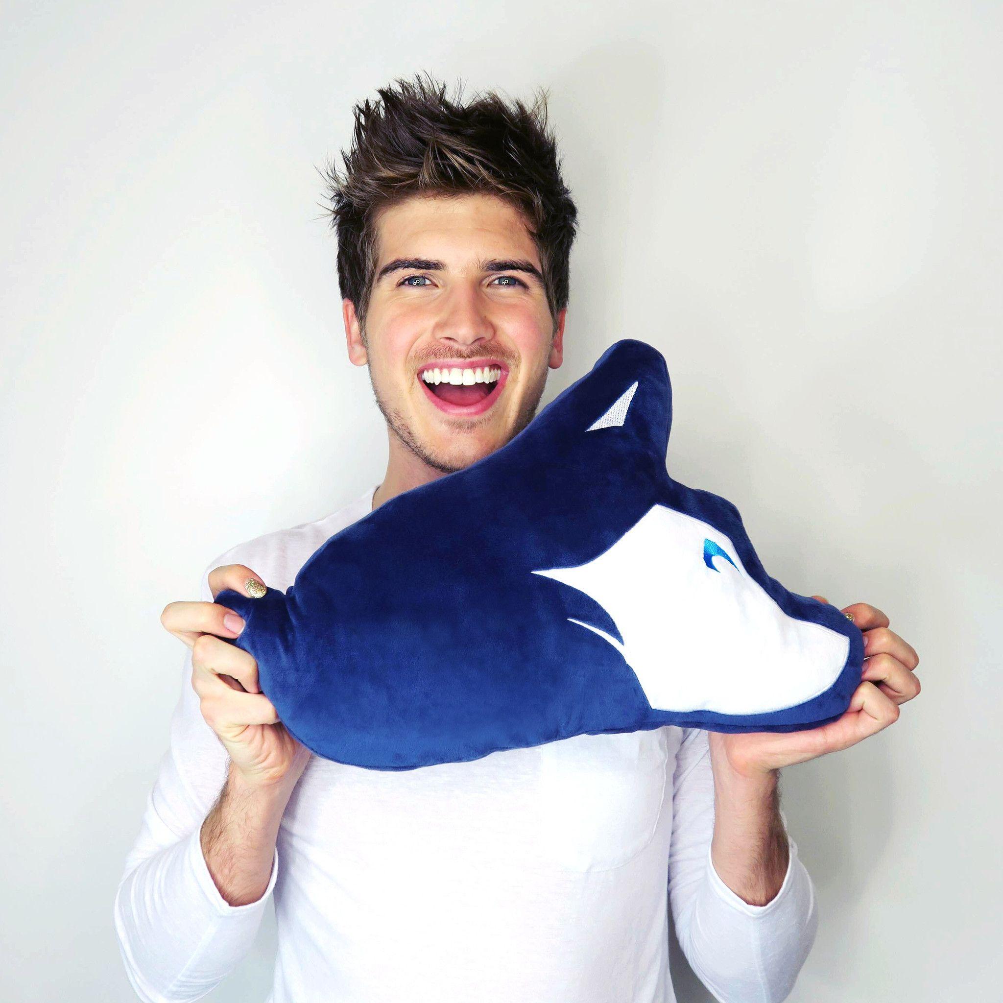 Joey Graceffa Talks About Life After Coming Out at Stream Con