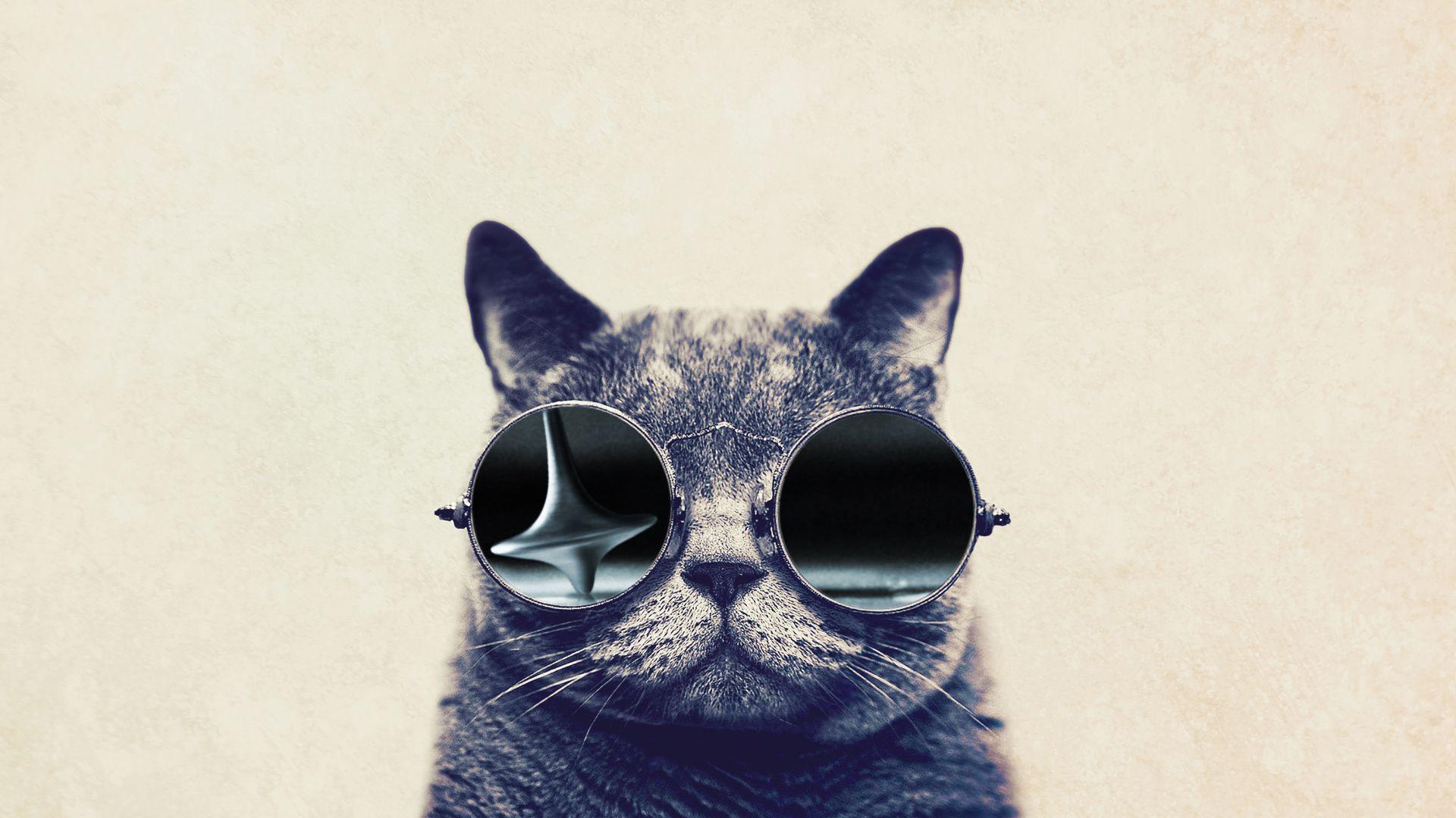 Funny Cat With Big Glasses HD Wallpaperx1080