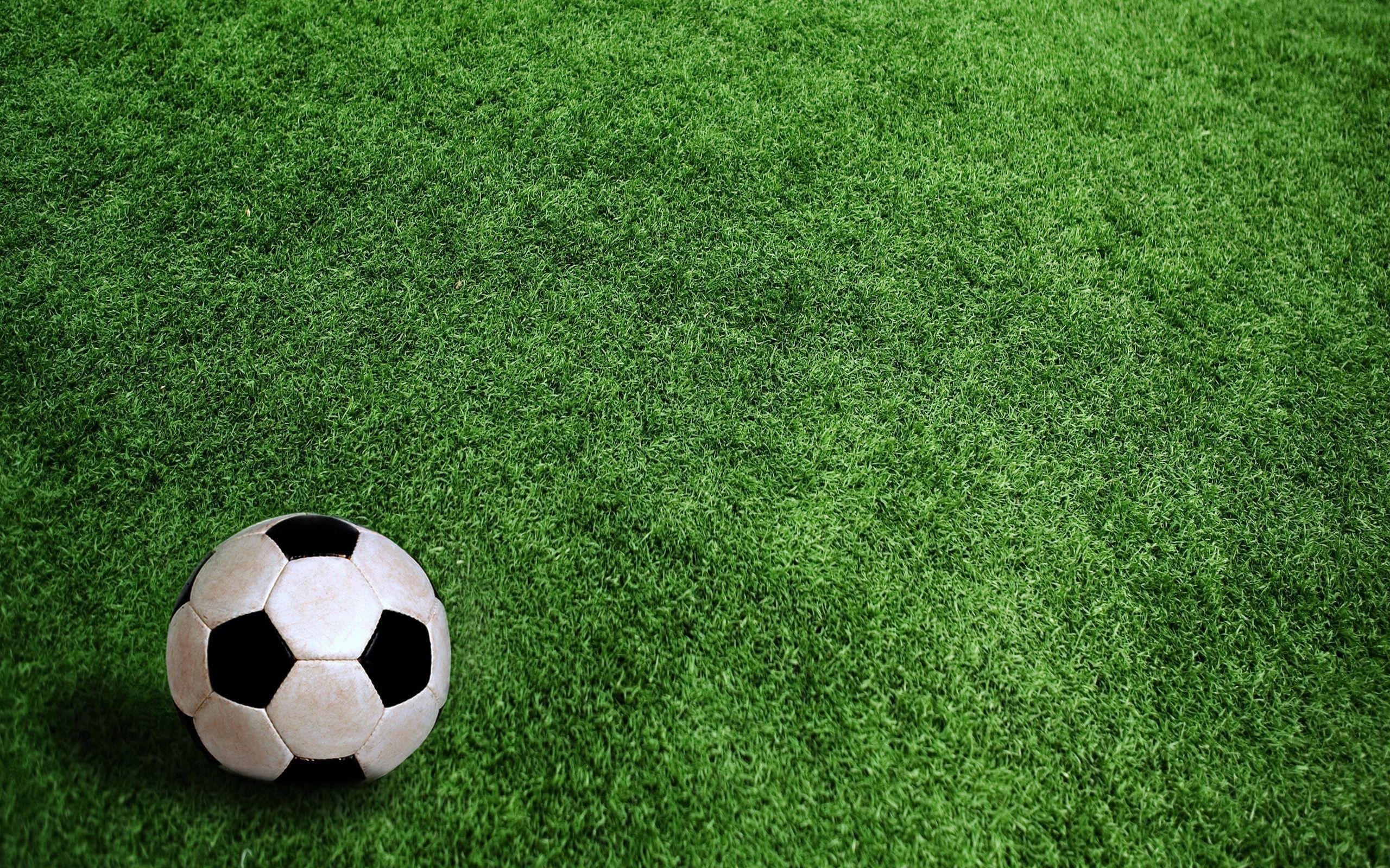 Soccer Ball and Green Grass Wallpaper HD Widescreen