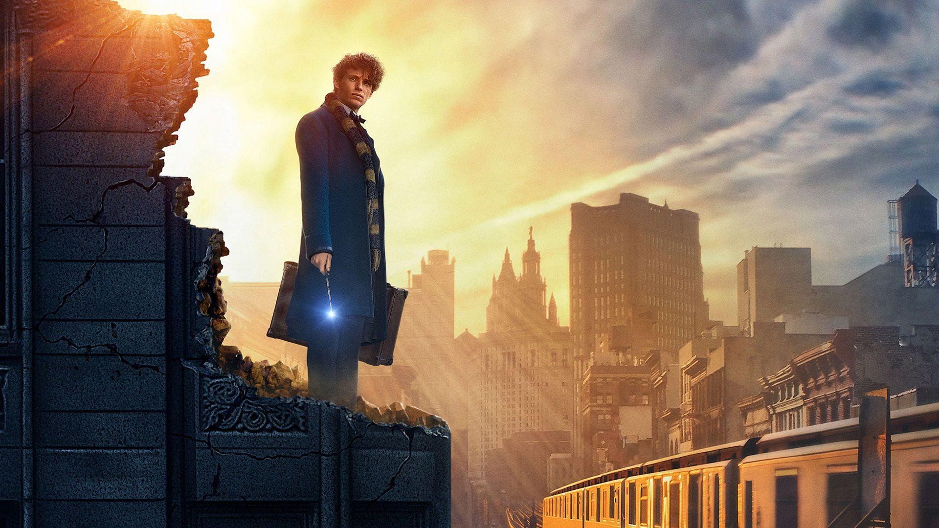 Fantastic Beasts and Where to Find Them 3 Movie Wallpaper