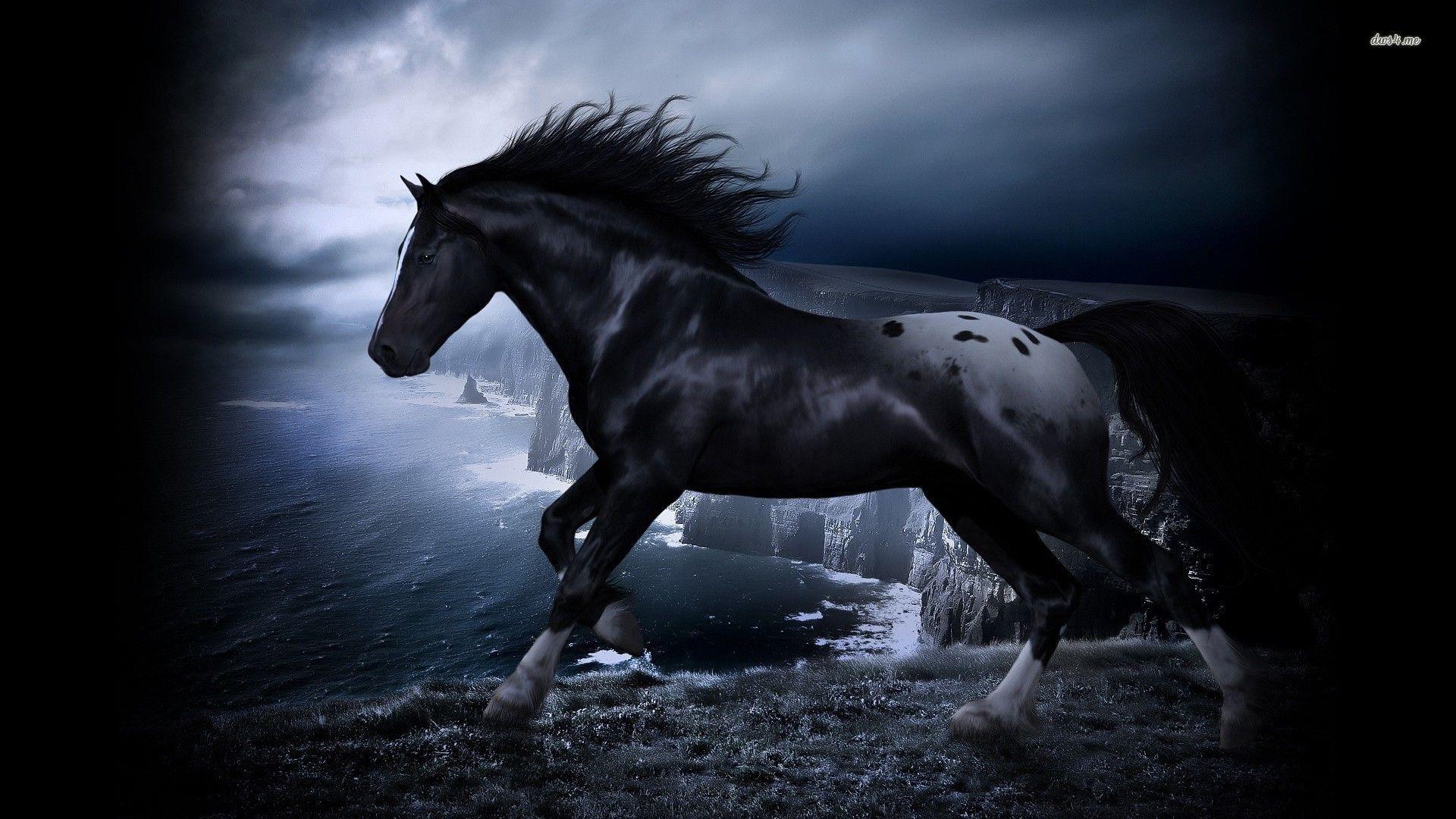 black and white horse wallpaper