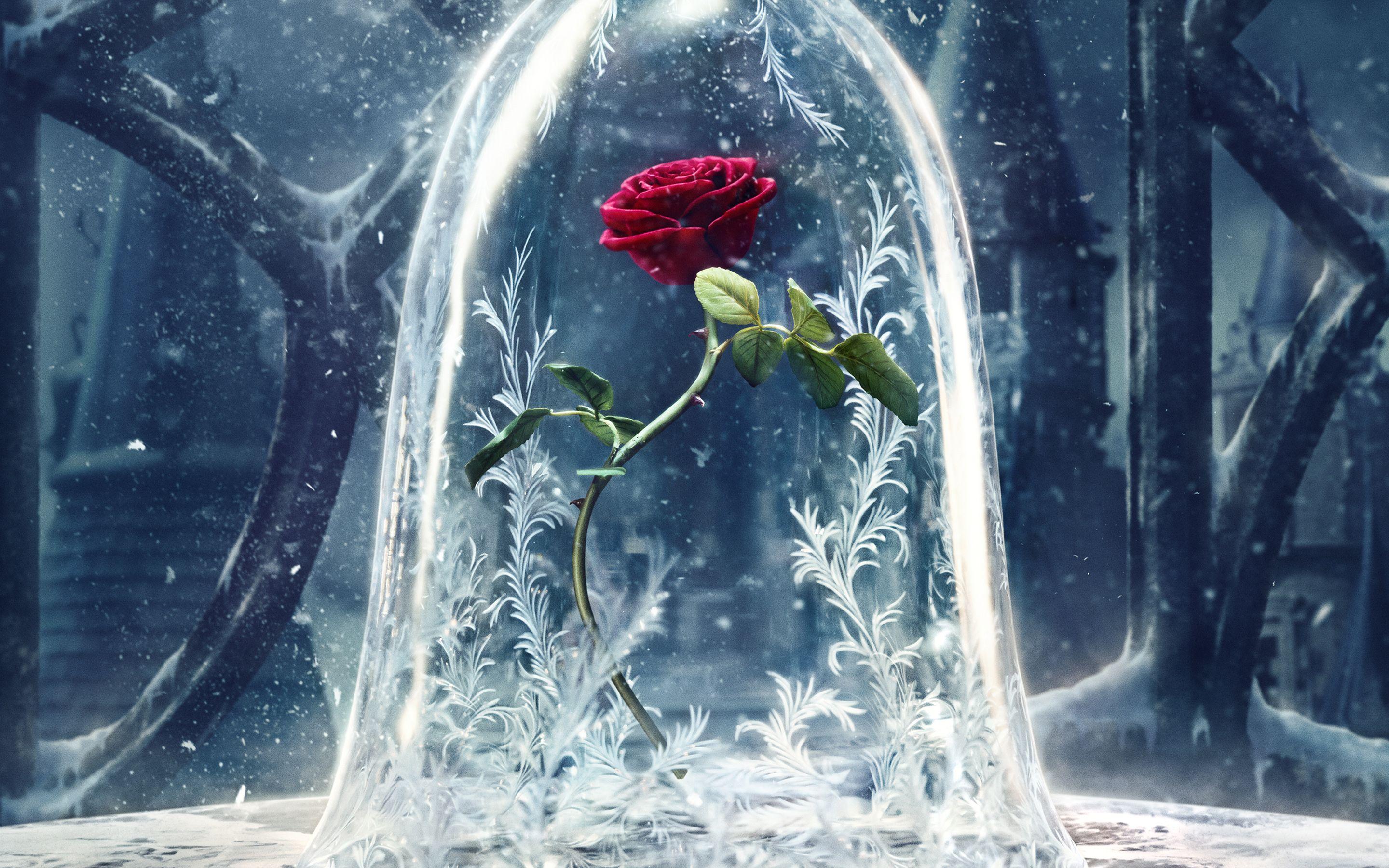 Beauty and the Beast 2017 Wallpaper