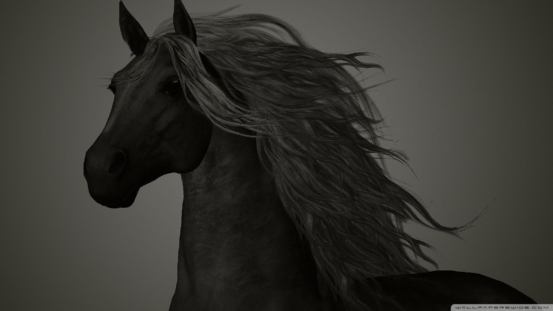 The Black Horse HD desktop wallpaper, Widescreen, High