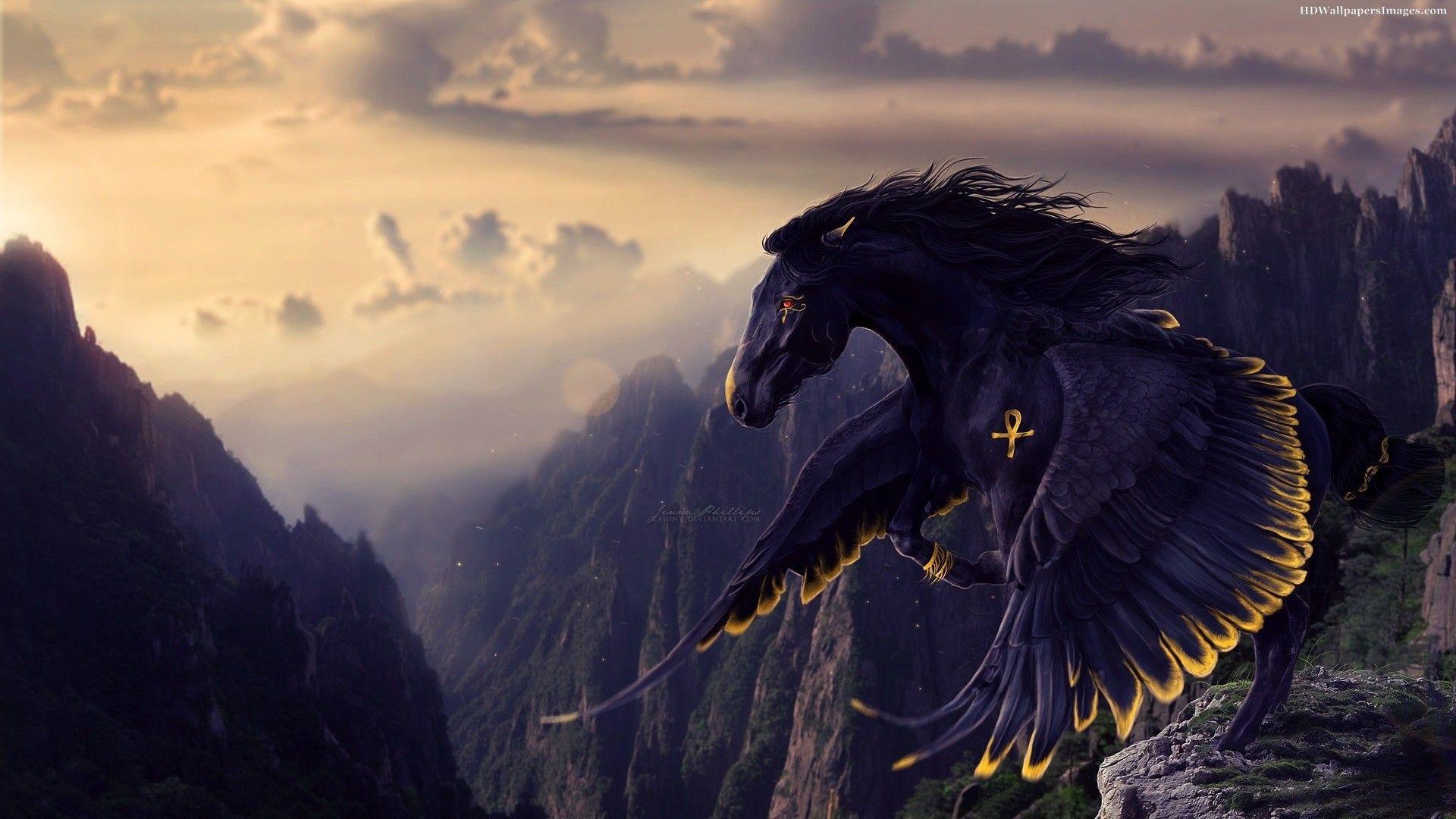 fantasy horses image. Black Horse Wings Image, Picture, Photo