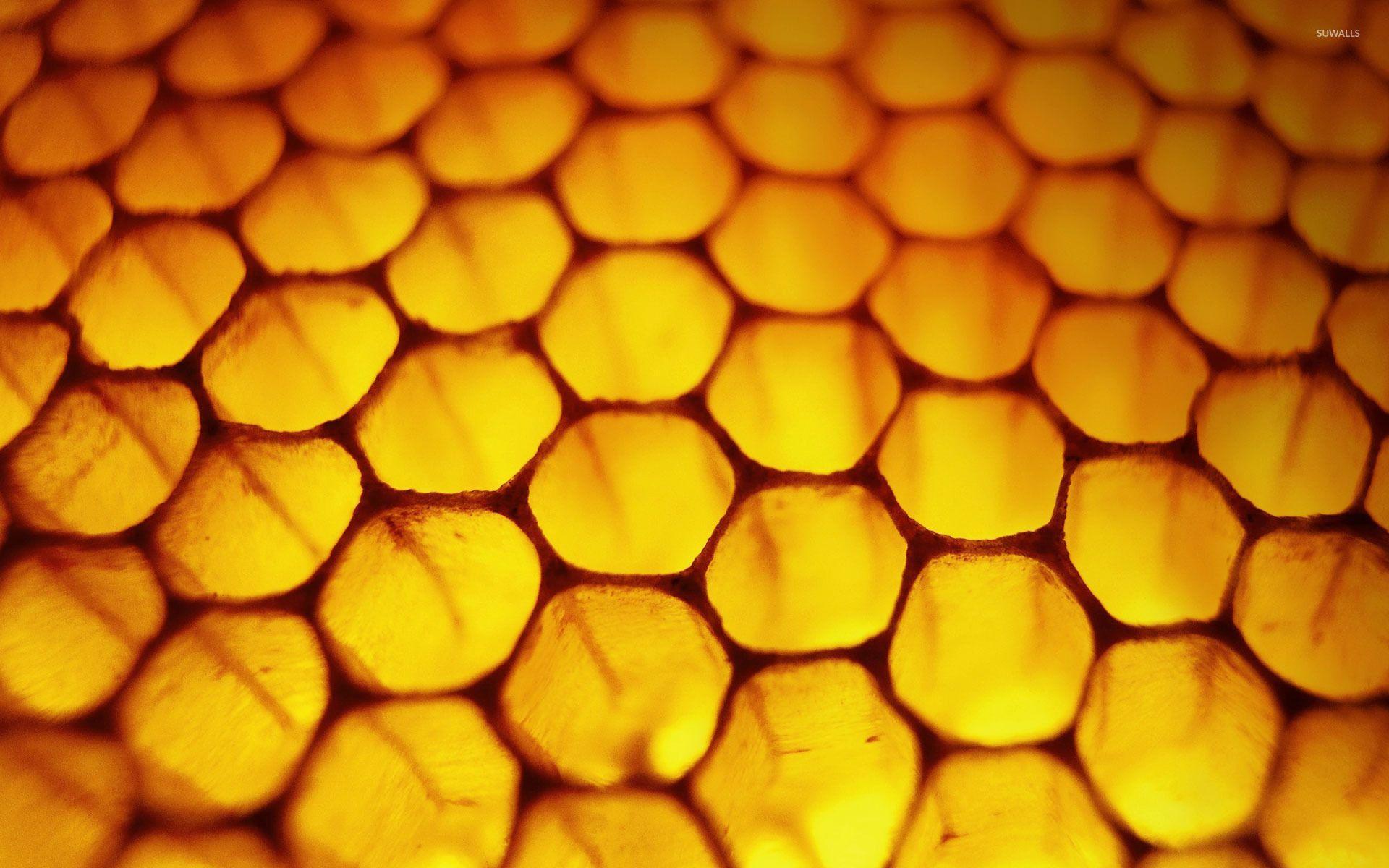 Conoce los Wallpapers de Honeycomb