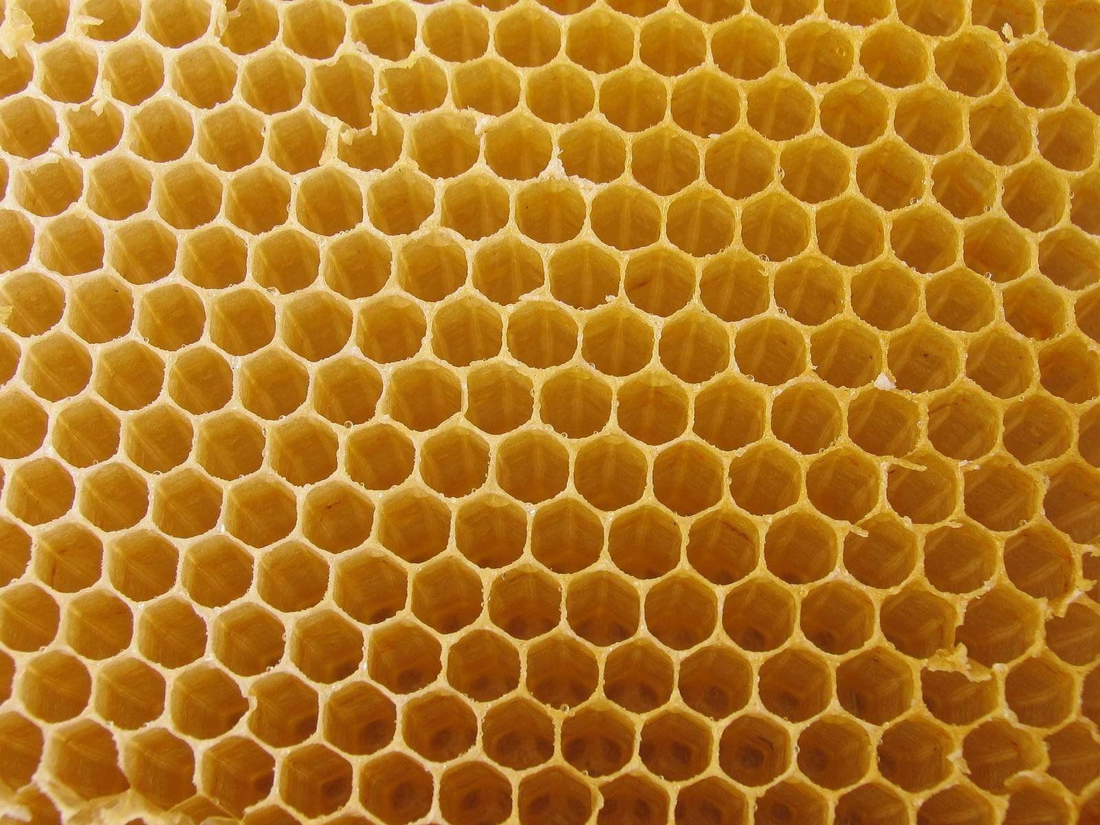 VTT3131: Honeycomb Background In High Quality, B.SCB Wallpaper