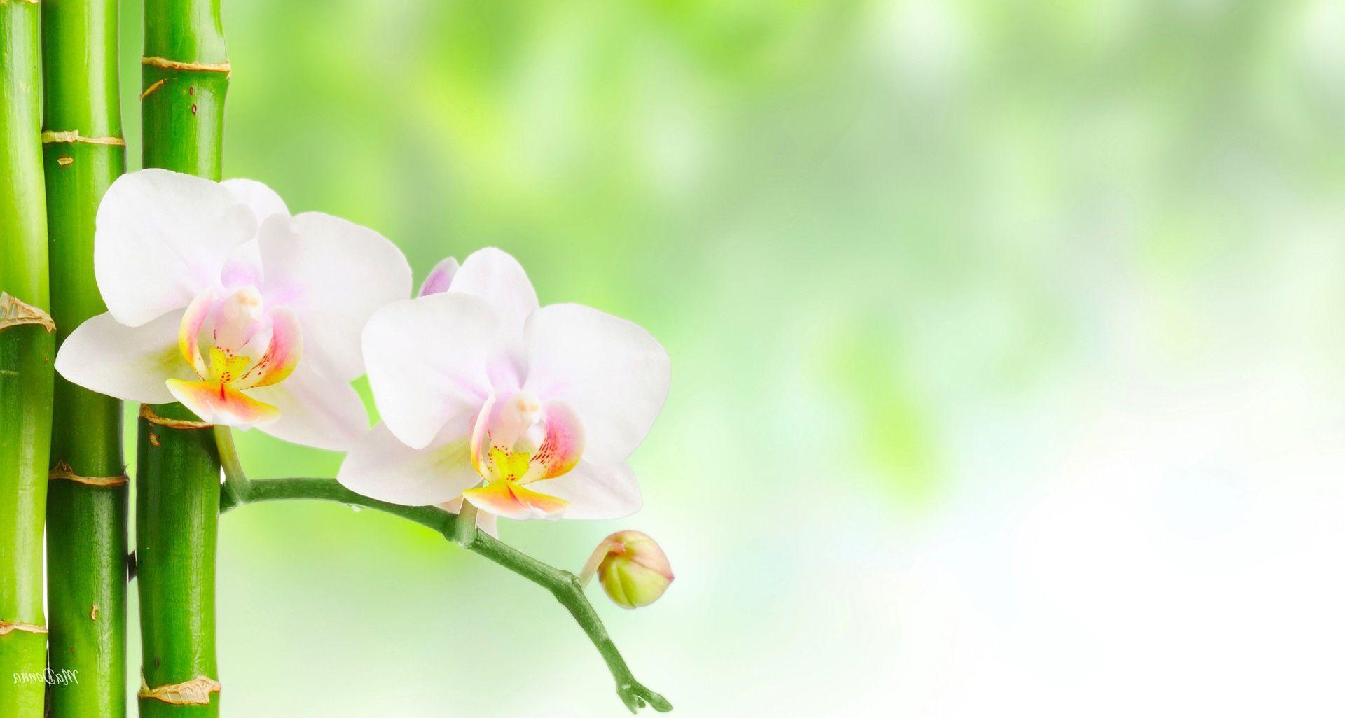 Healthy Wallpapers - Wallpaper Cave