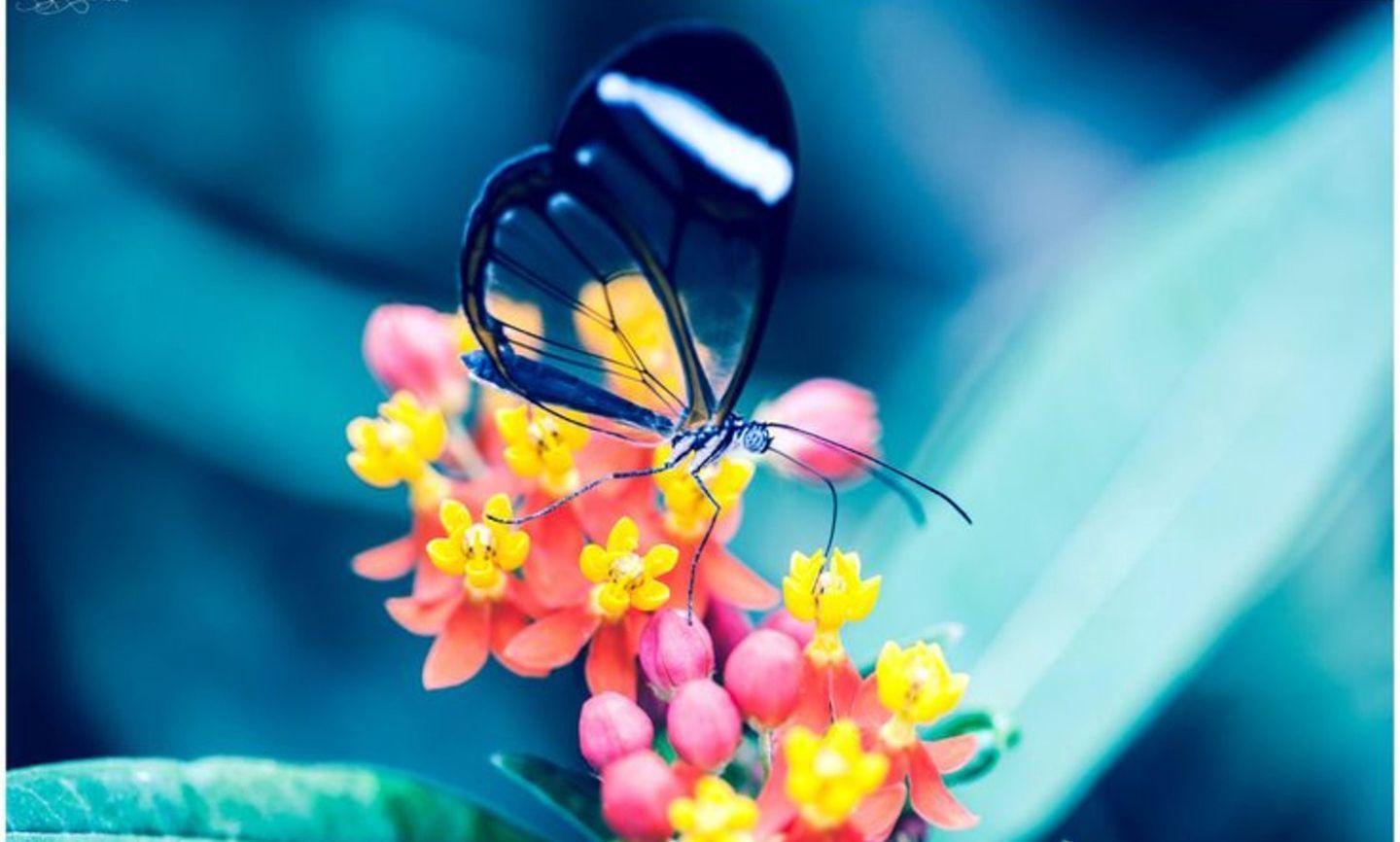 Amazing Views, HD Wallpaper, Nature Image, Free Download Image