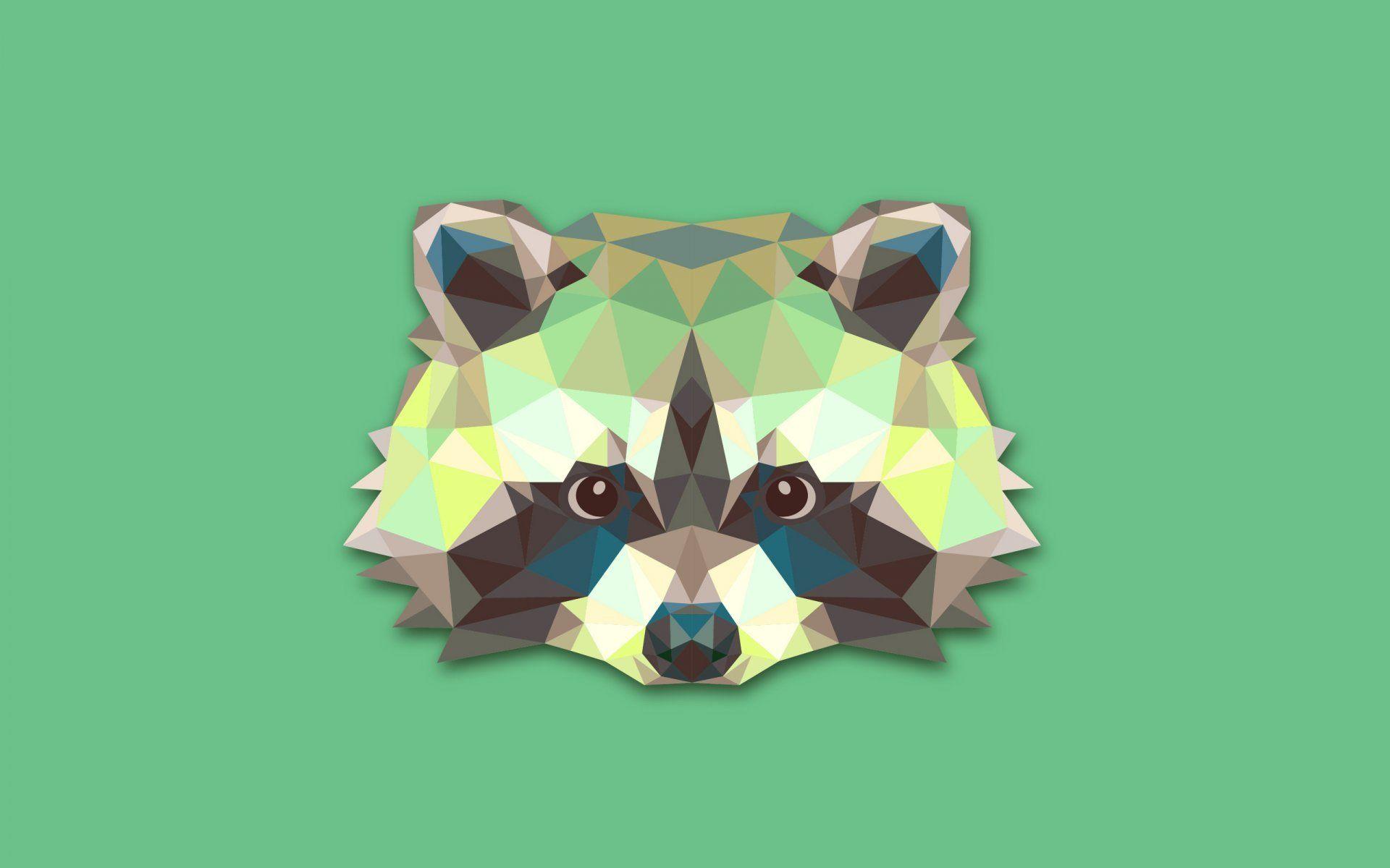 raccoon abstract minimalism raccoon HD wallpaper