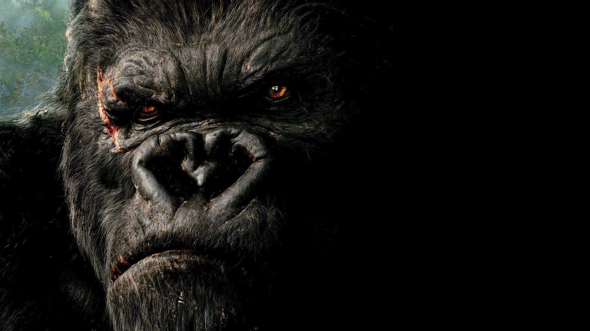 King Kong gorillas wallpaperx1080