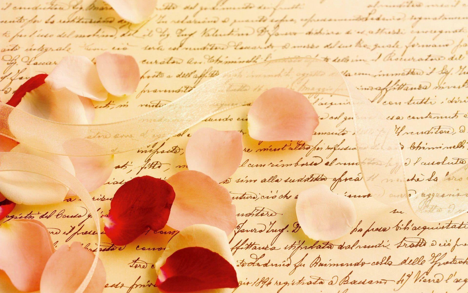 parchment letter a letter petals rose belt close up HD wallpaper