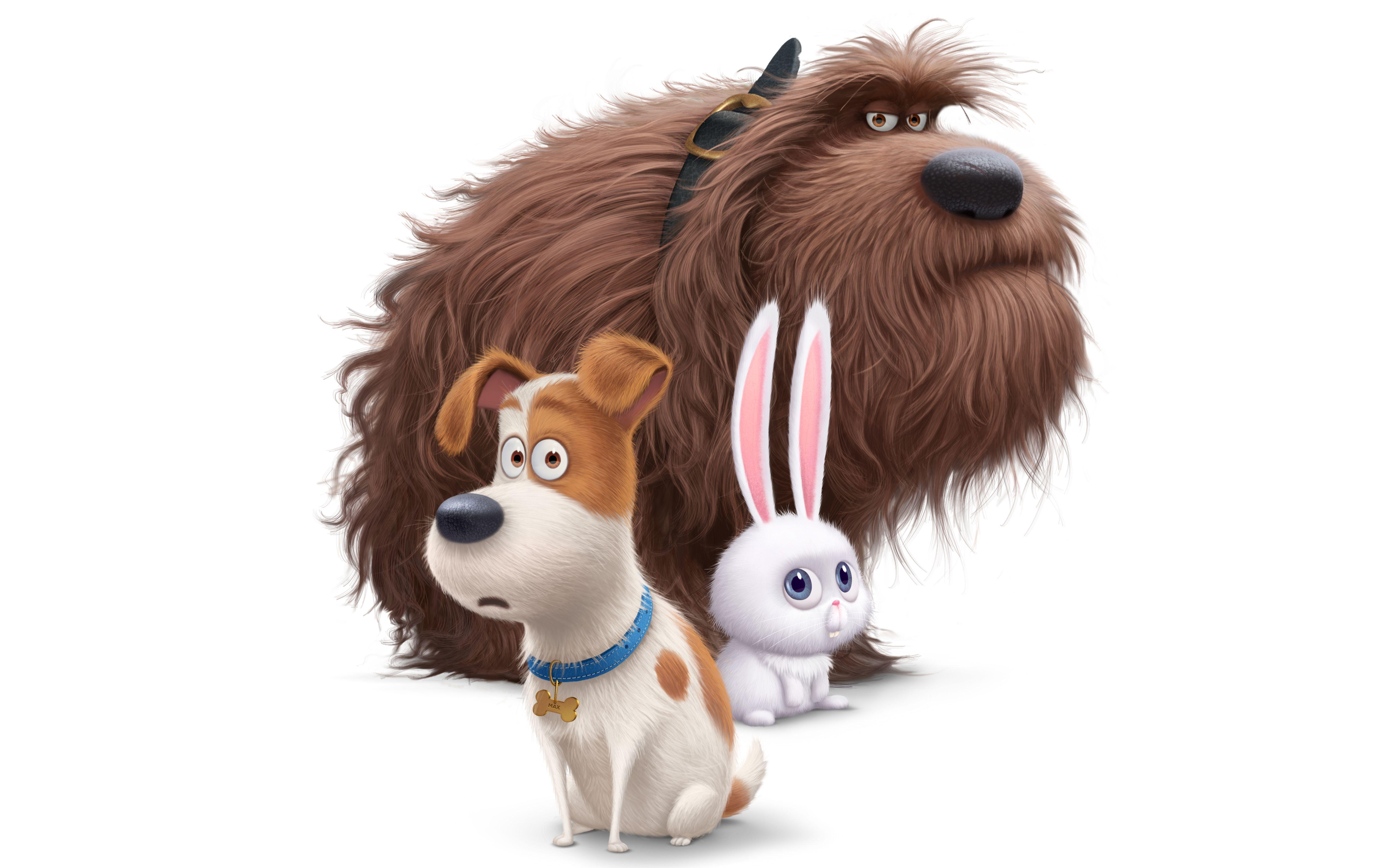 Wallpaper The Secret Life Of Pets 2 Max Animation 2019